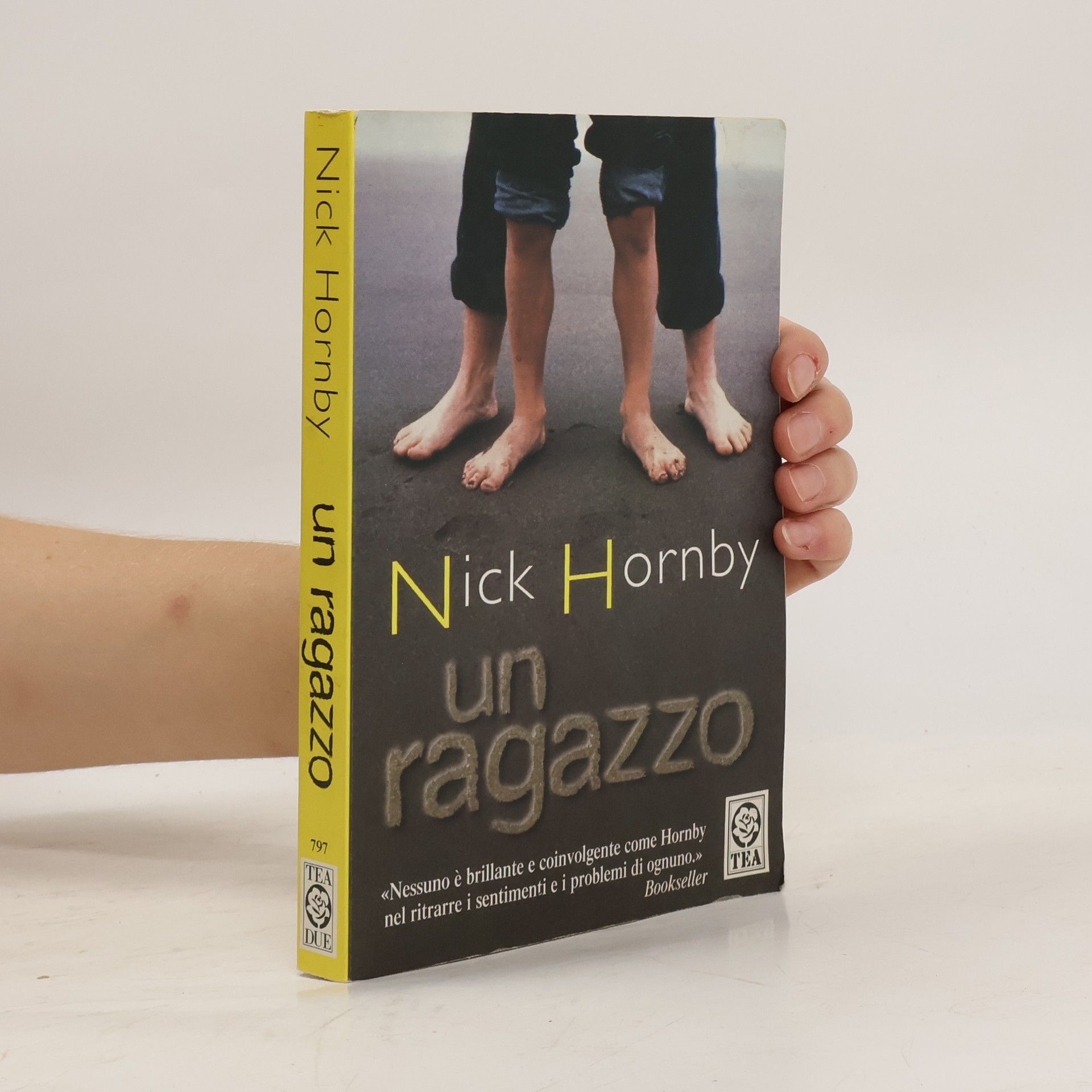 Nick Hornby Un ragazzo