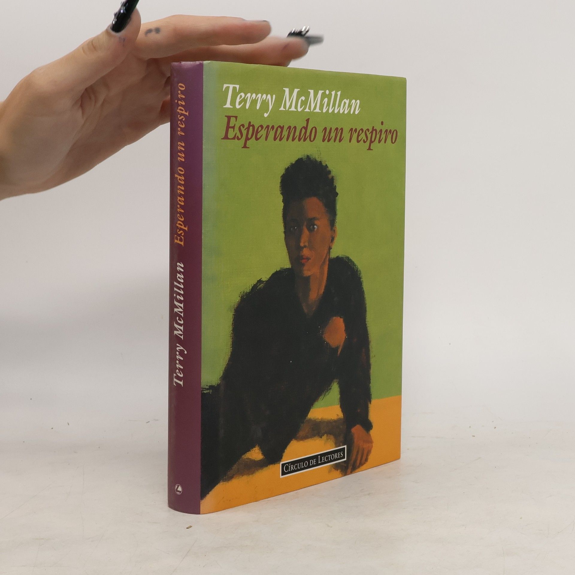 Terry McMillan Esperando un respiro