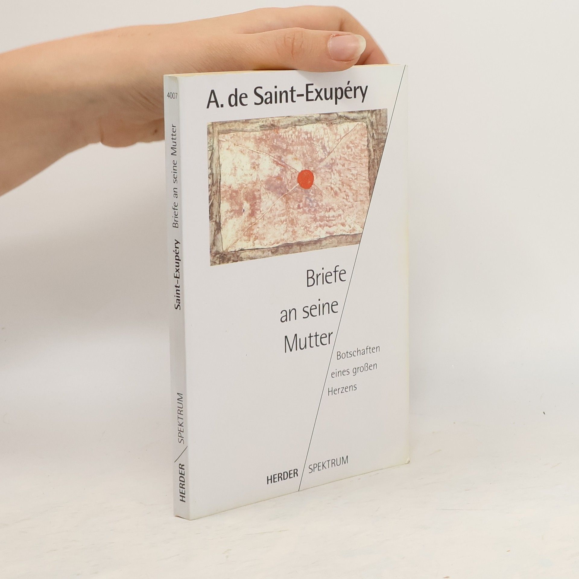 Antoine de Saint-Exupéry Briefe an seine Mutter