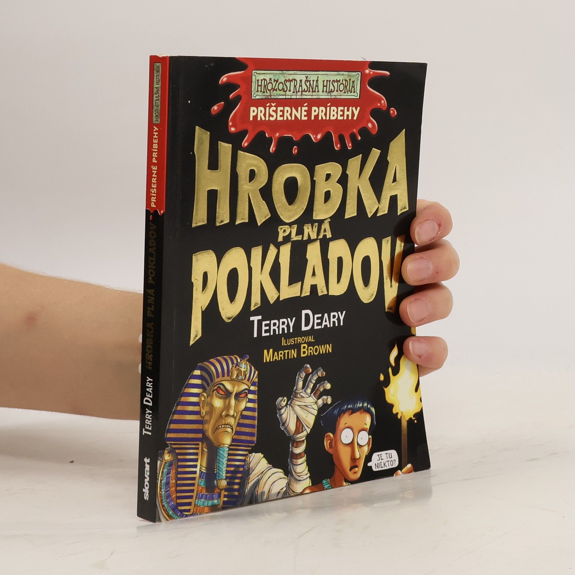 Terry Deary Hrobka plná pokladov