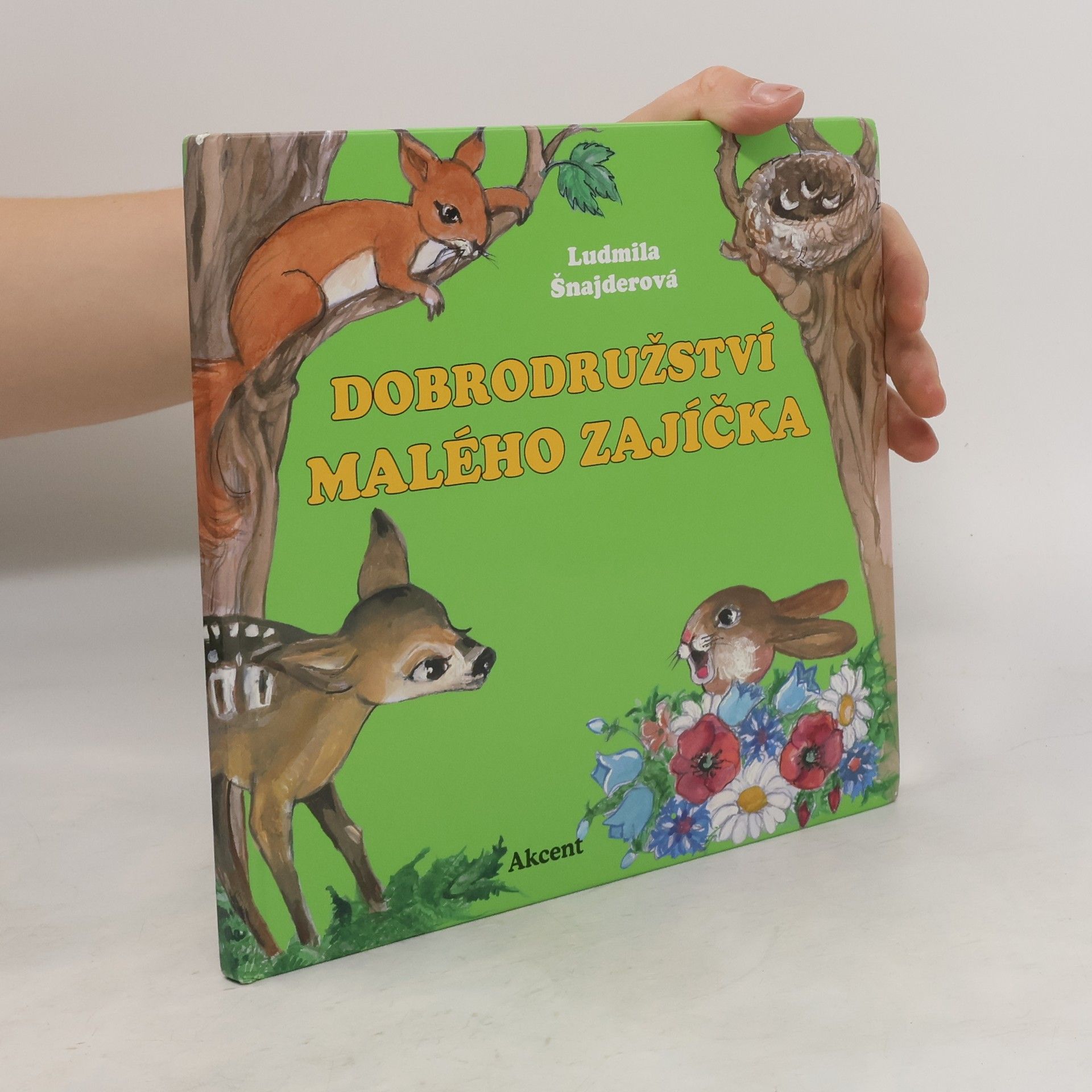 Ludmila Šnajderová Dobrodružství malého zajíčka