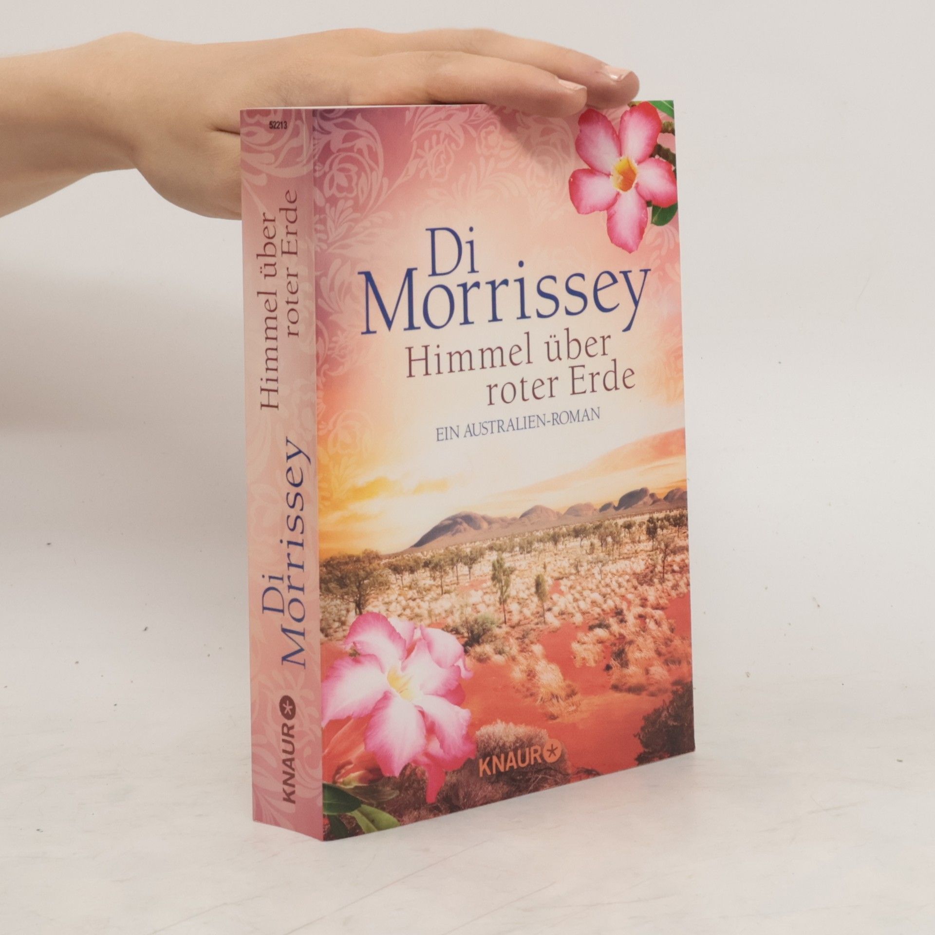 Di Morrissey Himmel über roter Erde