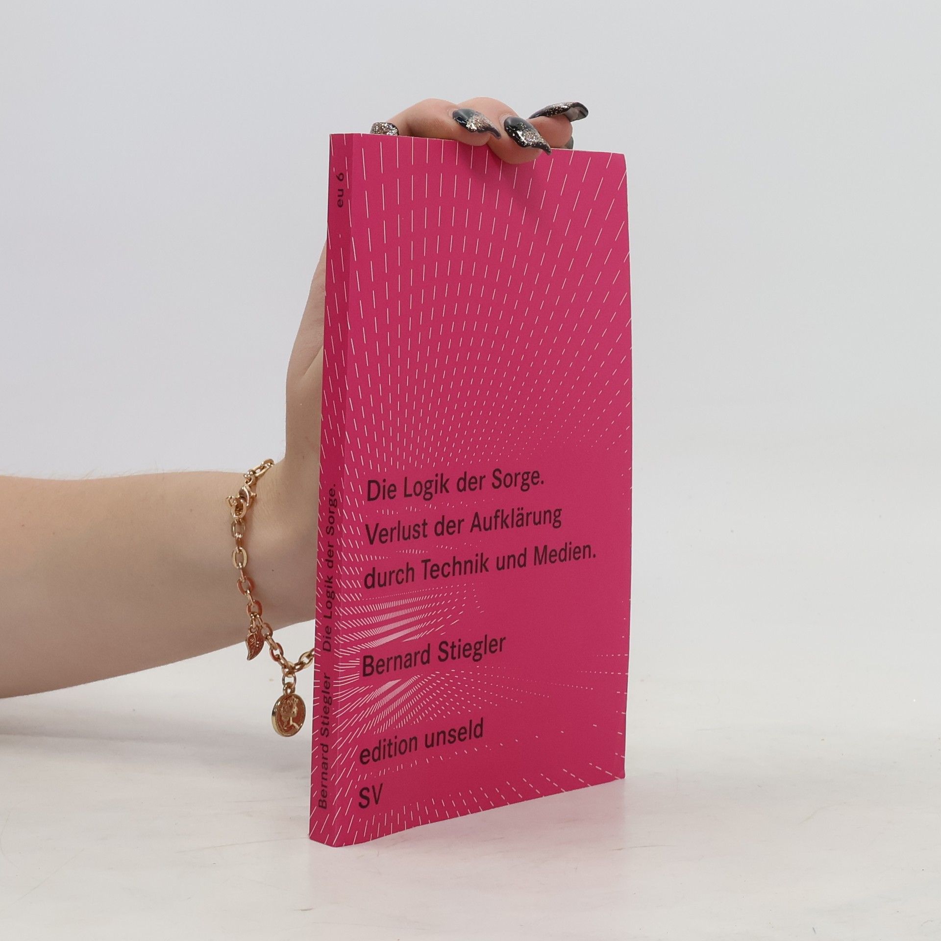 Bernard Stiegler Die Logik der Sorge