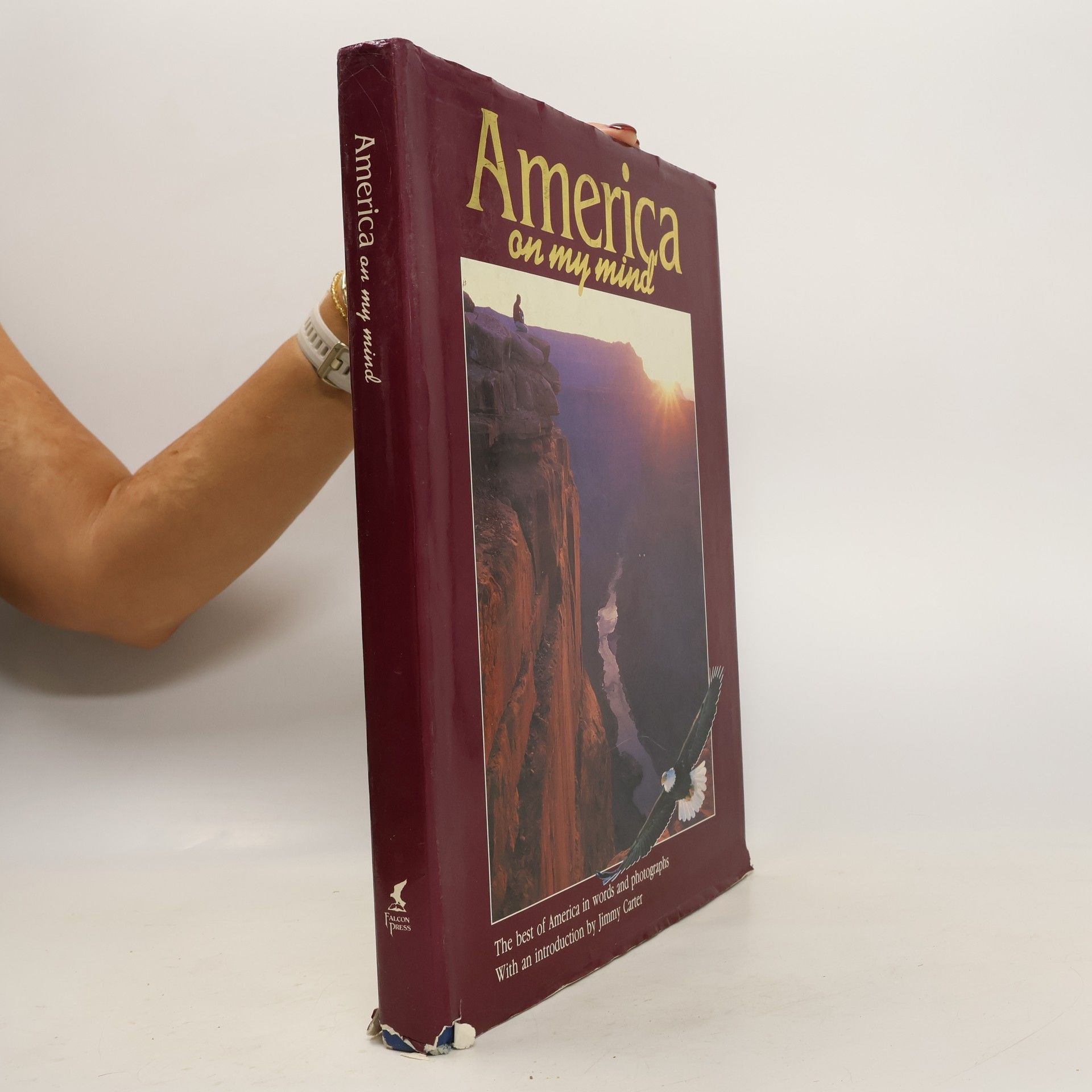 Falcon Press (Helena, Mont.) America on My Mind