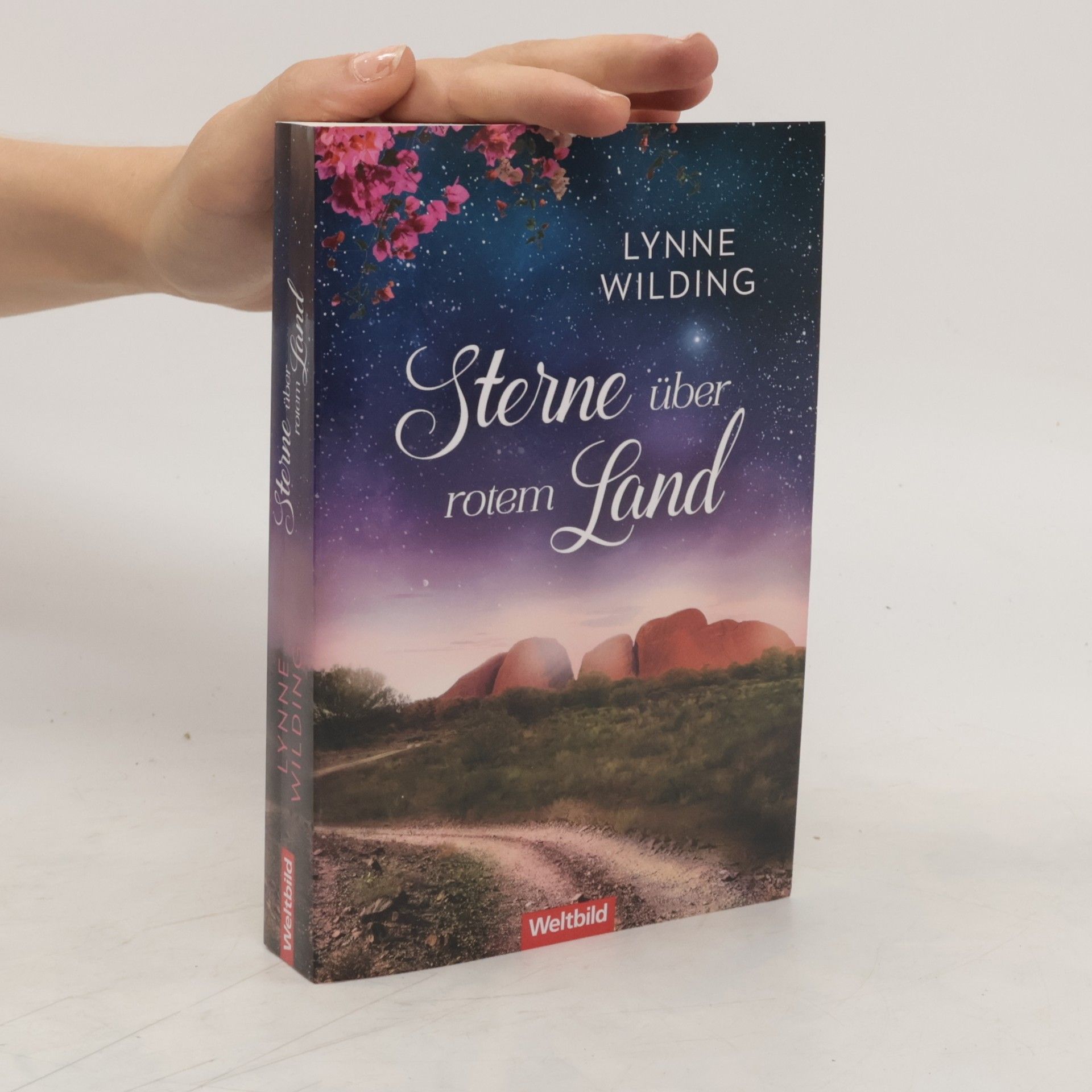 Lynne Wilding Sterne über rotem Land