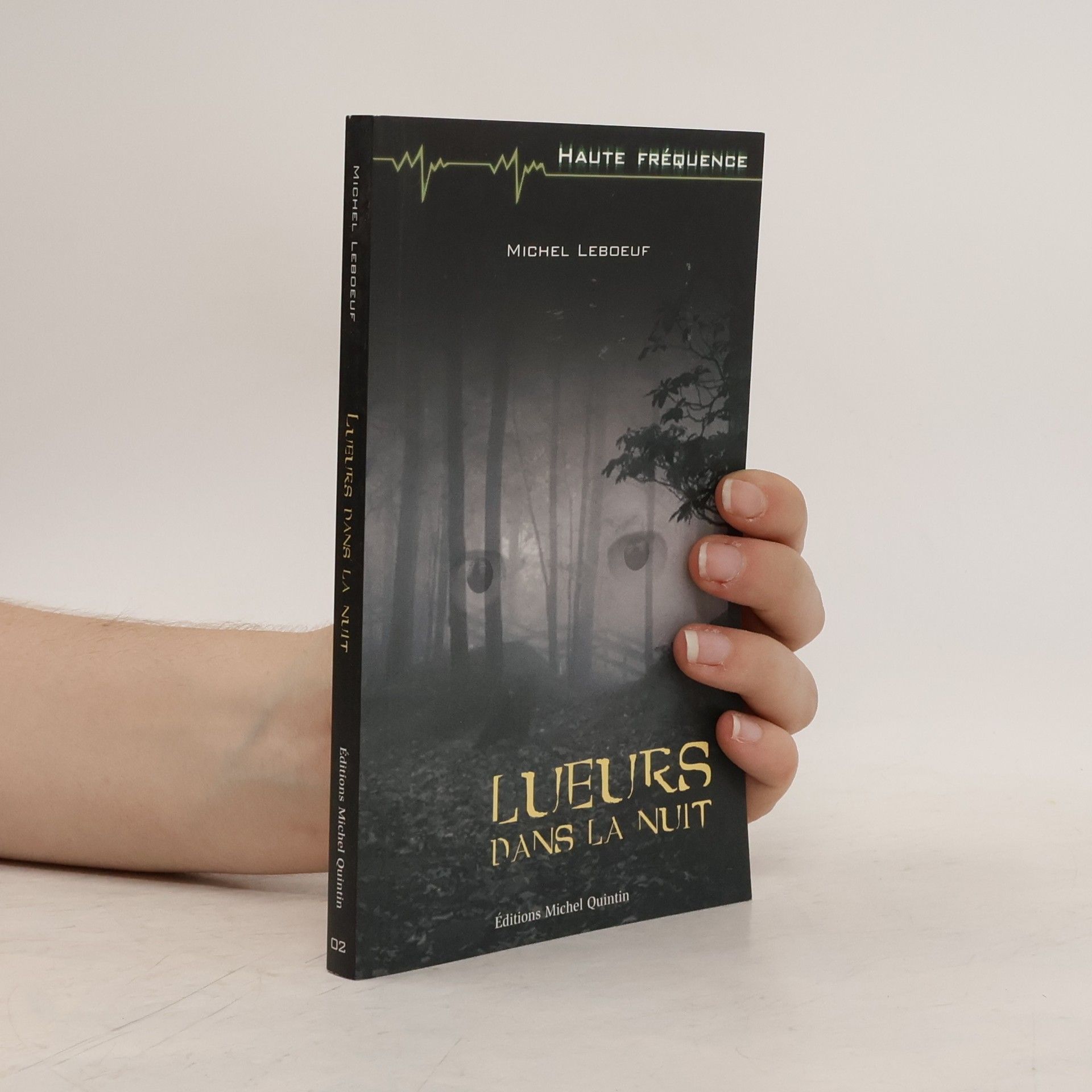 Michel Leboeuf Lueurs dans la nuit