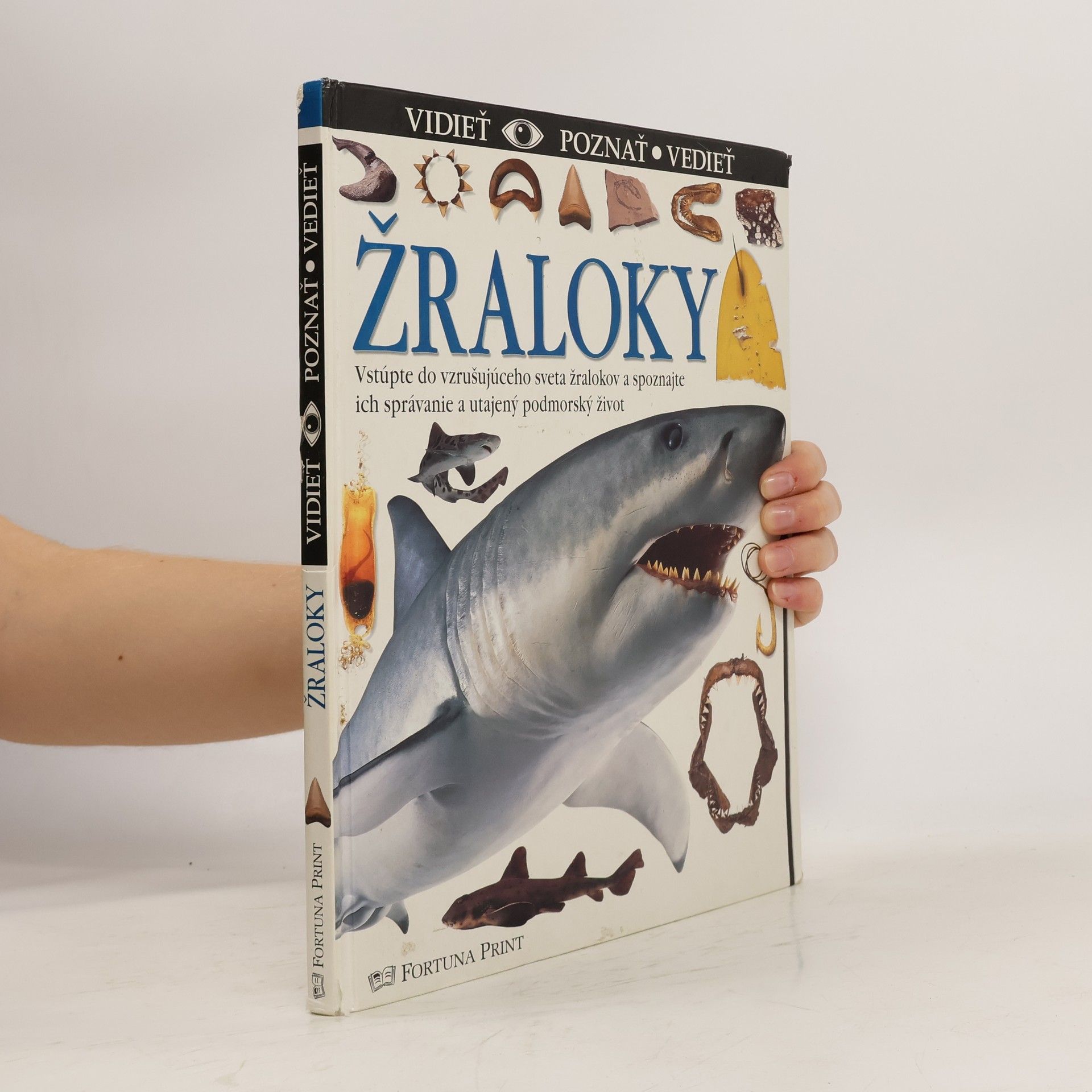 kolektiv Žraloky