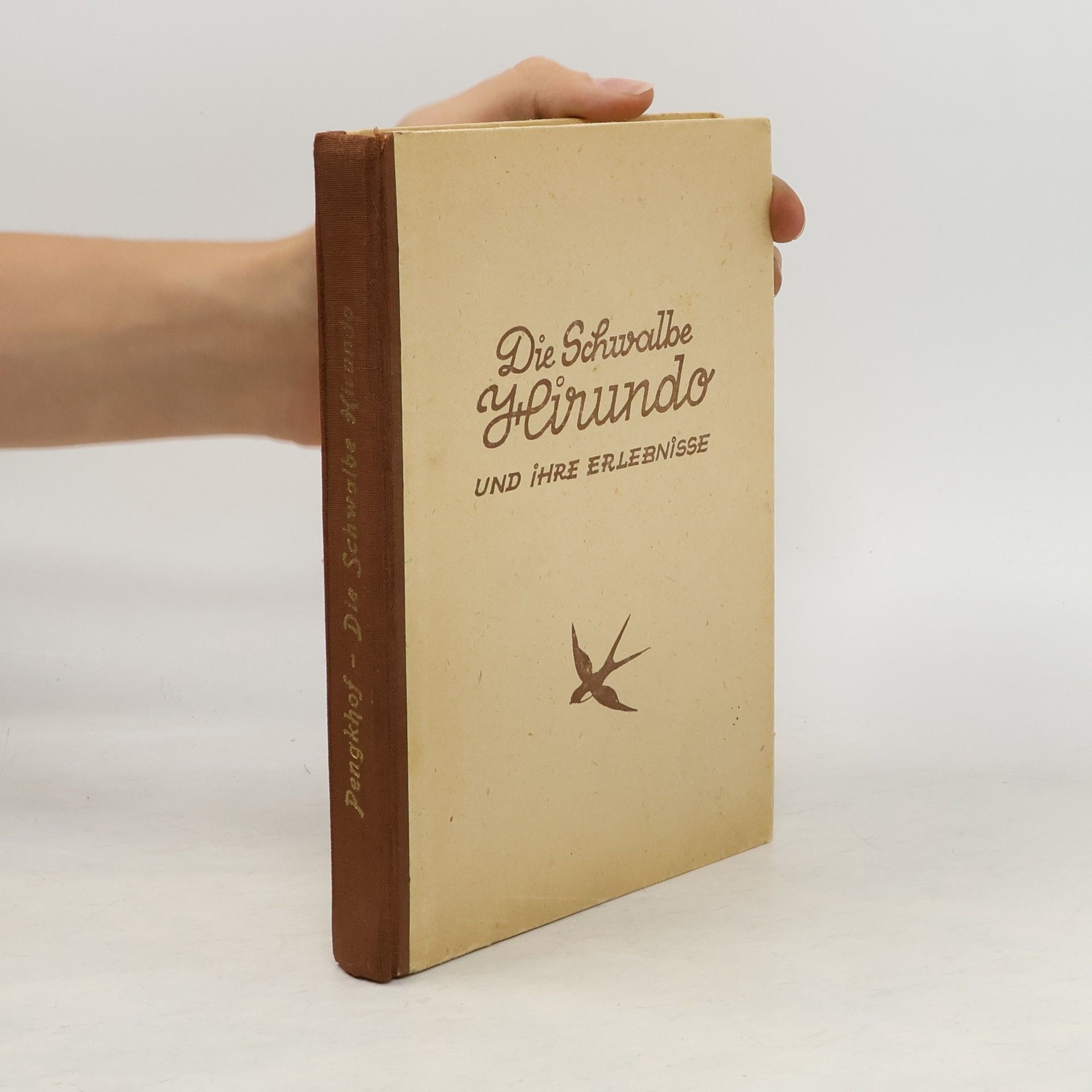 Alfred Pengkhof Die Schwalbe Hirundo und ihre Erlebnisse