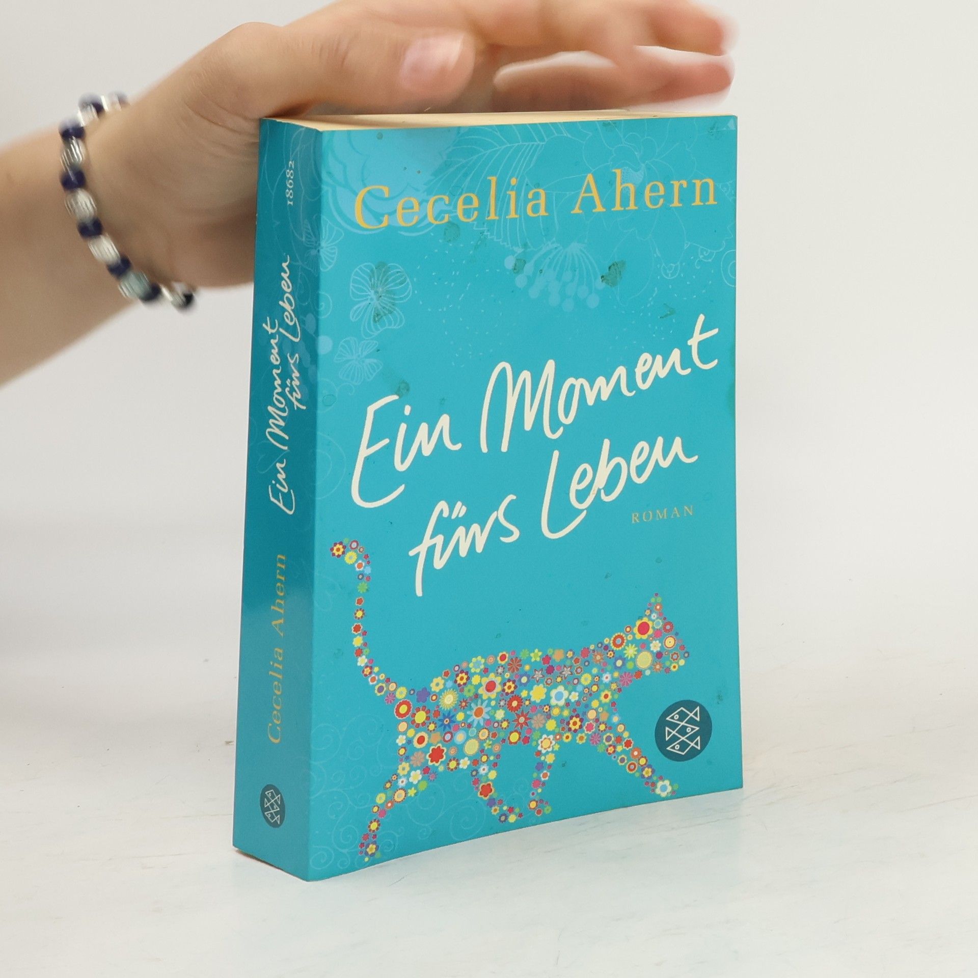 Cecelia Ahern Ein Moment fürs Leben