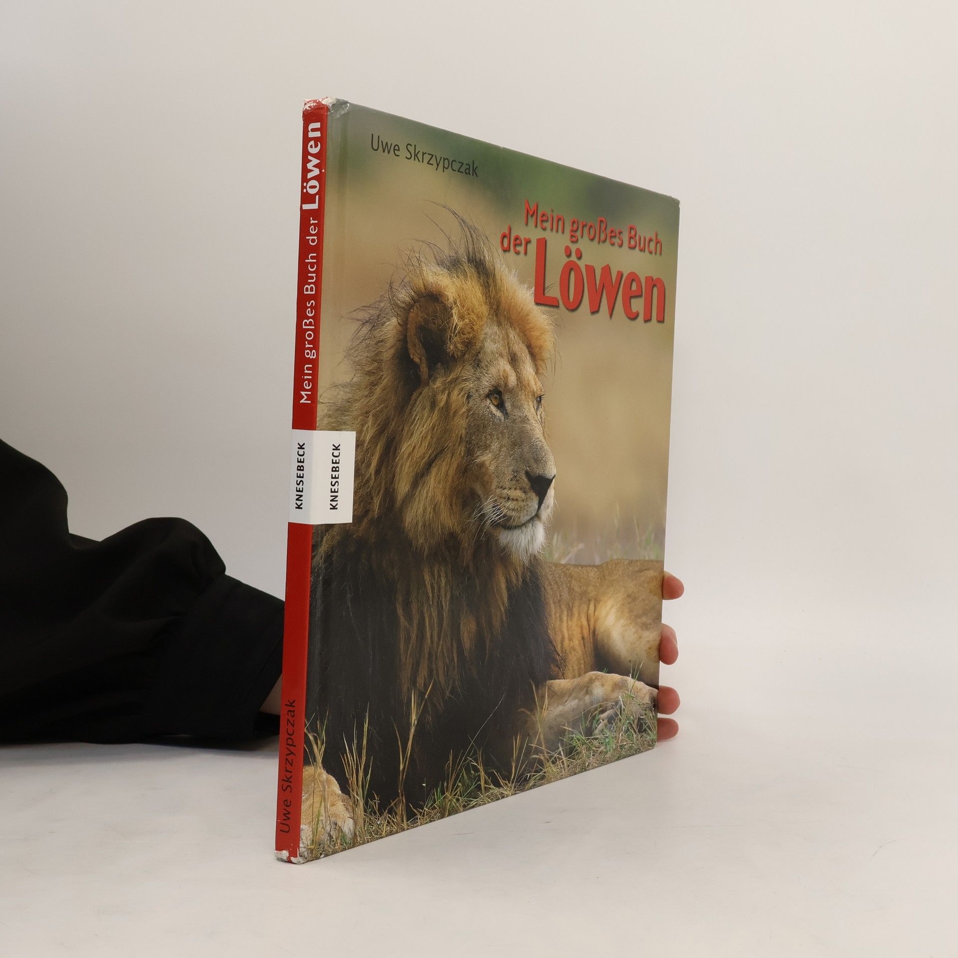 Uwe Skrzypczak Mein großes Buch der Löwen