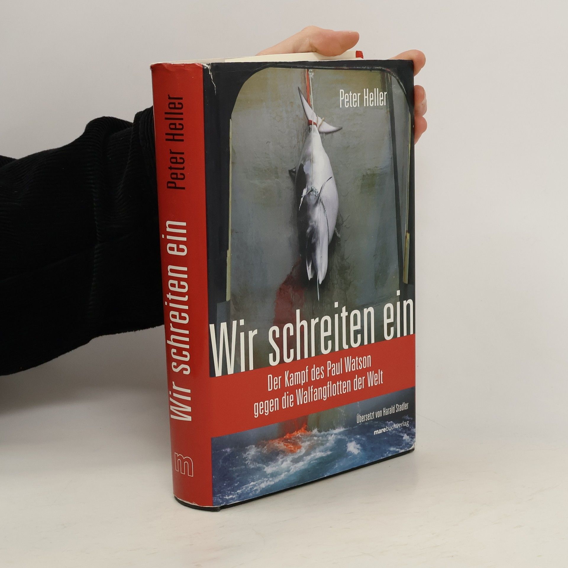 Peter Heller Wir schreiten ein