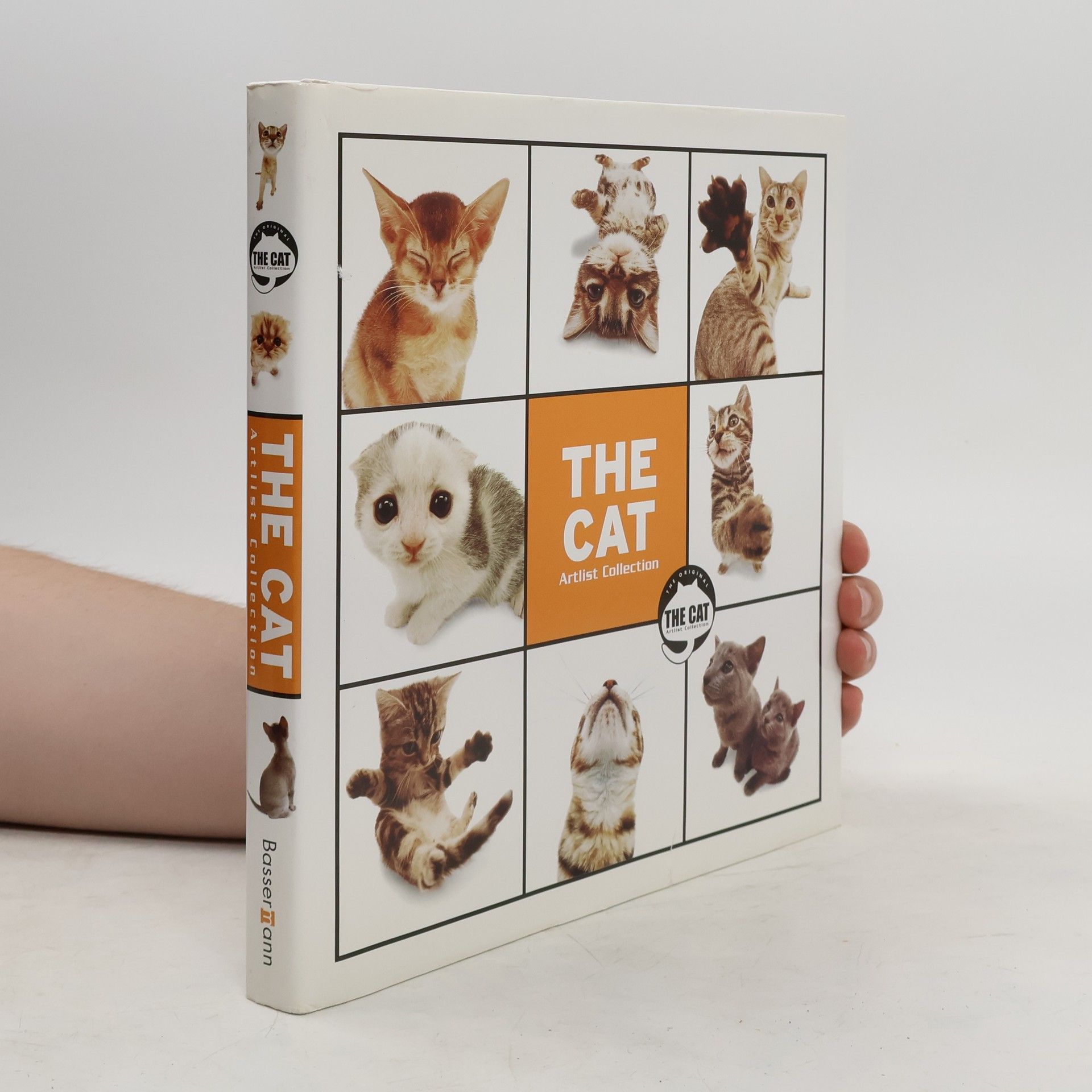 Anika Kehrer The cat artlist collection