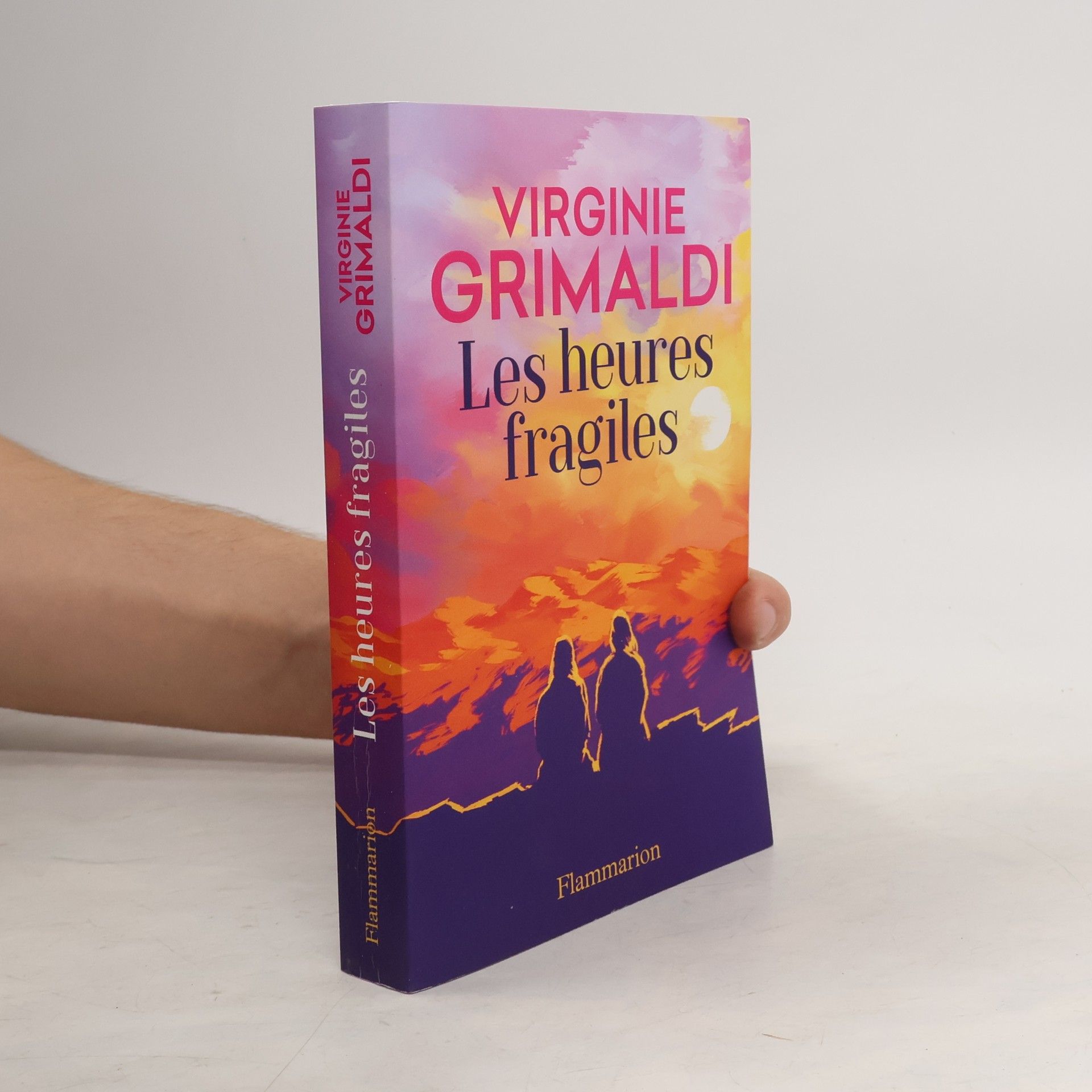 Virginie Grimaldi Les heures fragiles