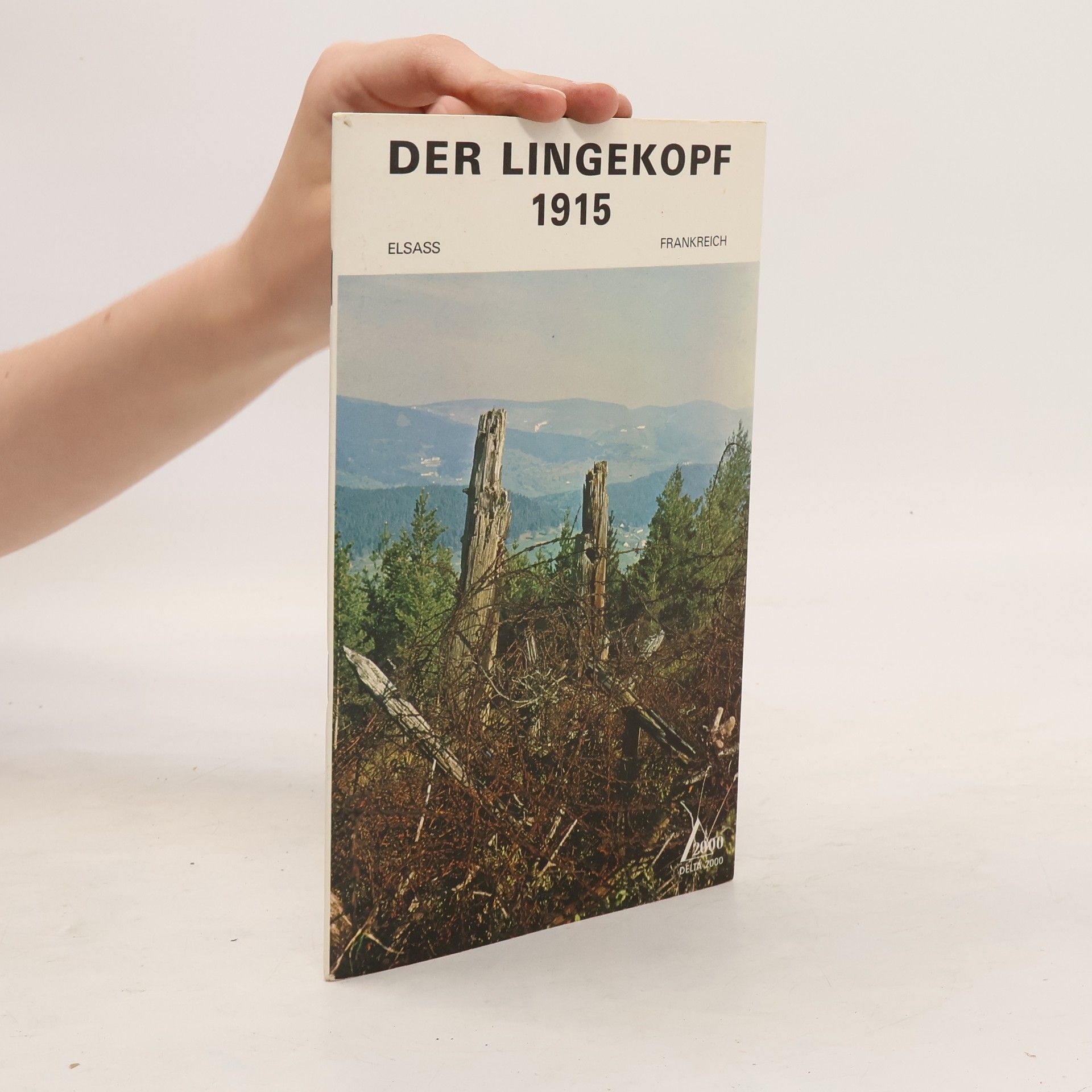 Armand Durlewanger Der Lingekopf 1915