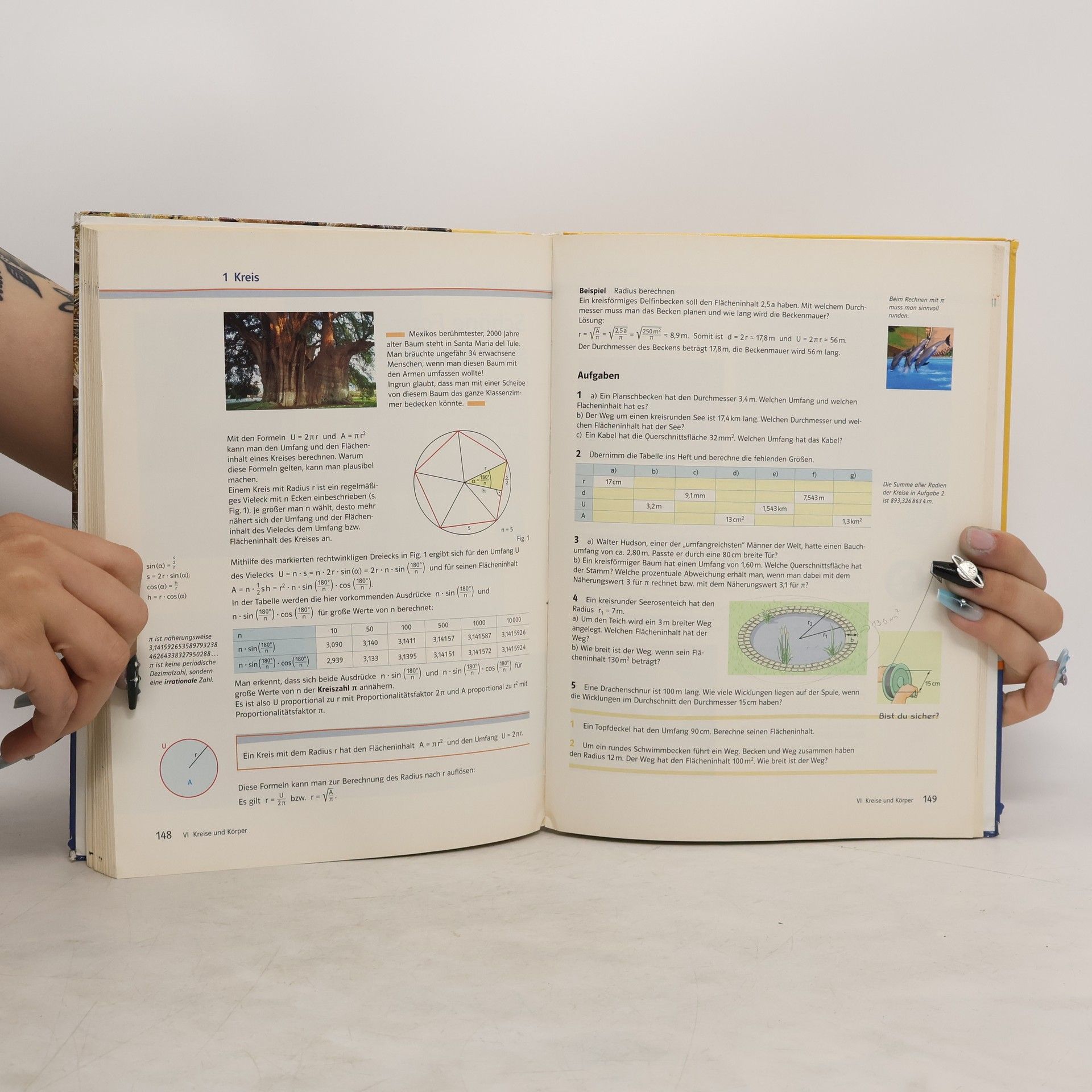 Collectif d'auteurs Lambacher Schweizer 5. Mathematik für Gymnasien