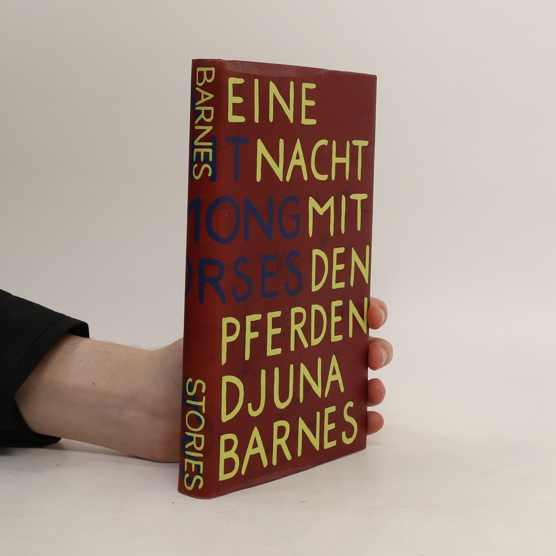 Djuna Barnes Eine Nacht mit den Pferden