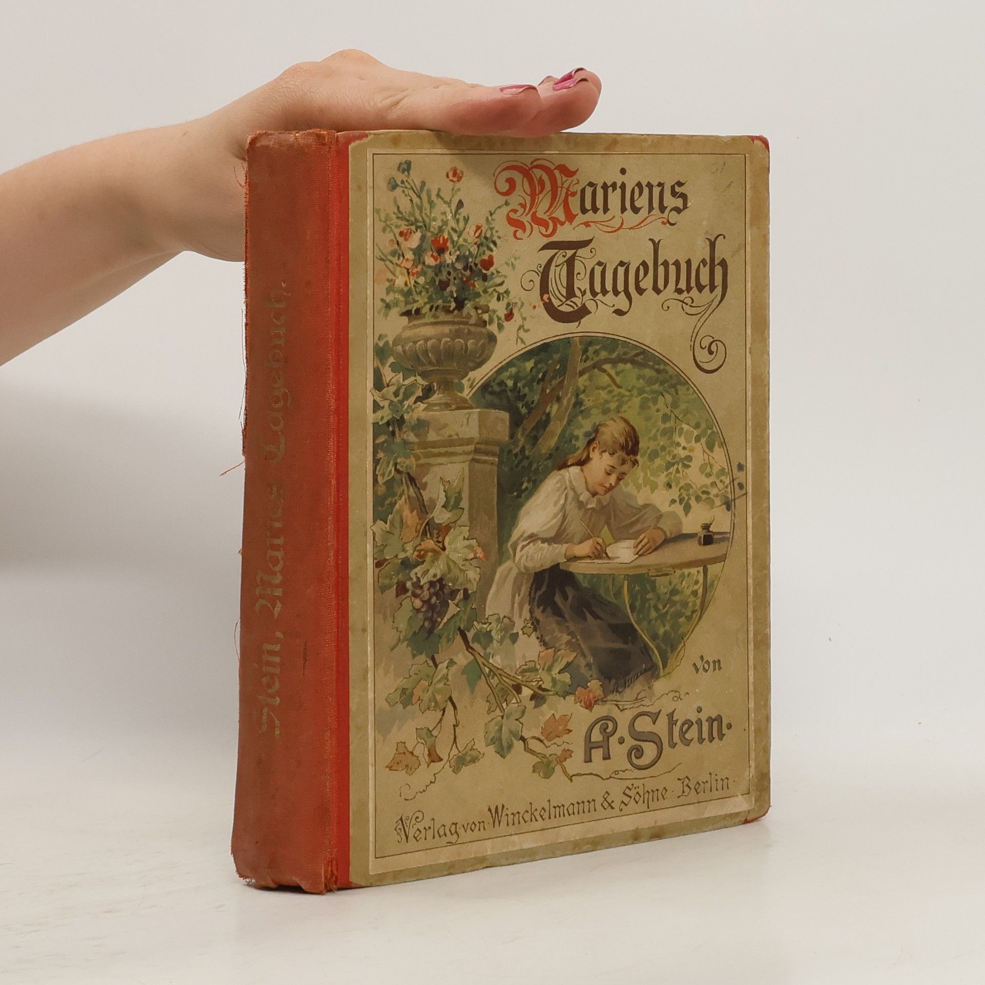 A. Stein Maries Tagebuch