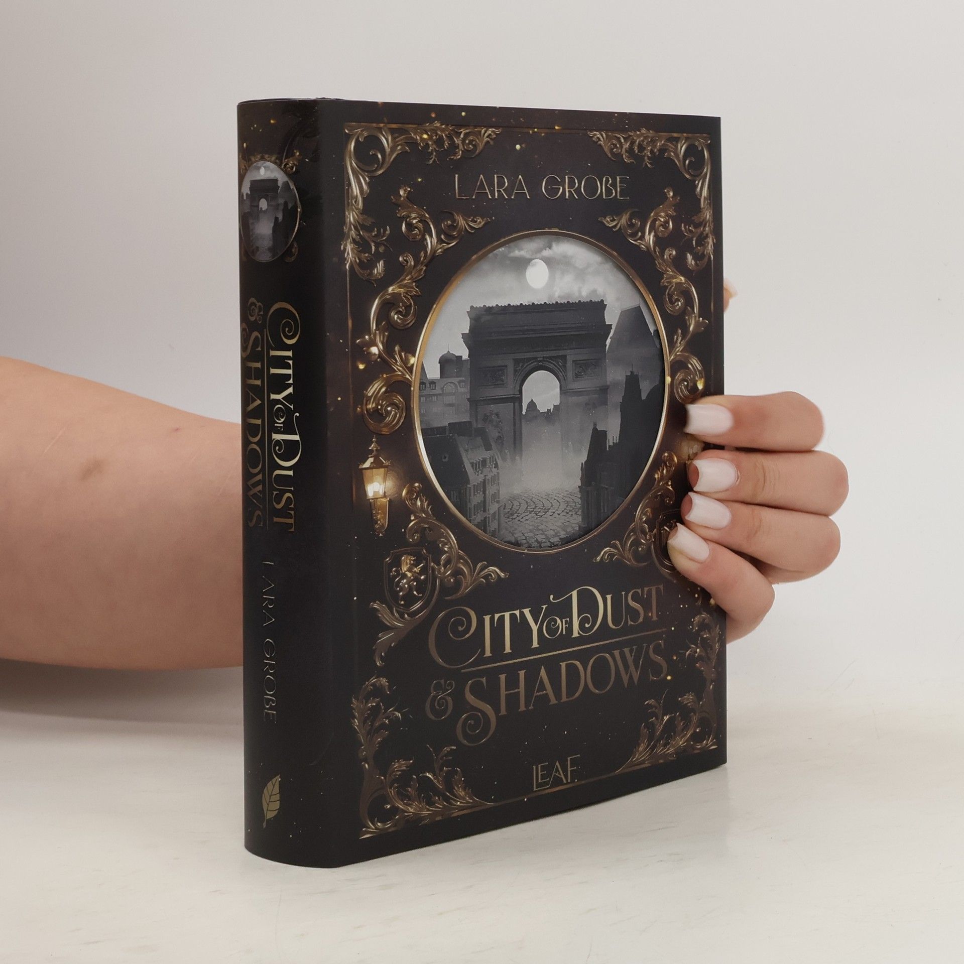 Lara Große City of Dust and Shadows