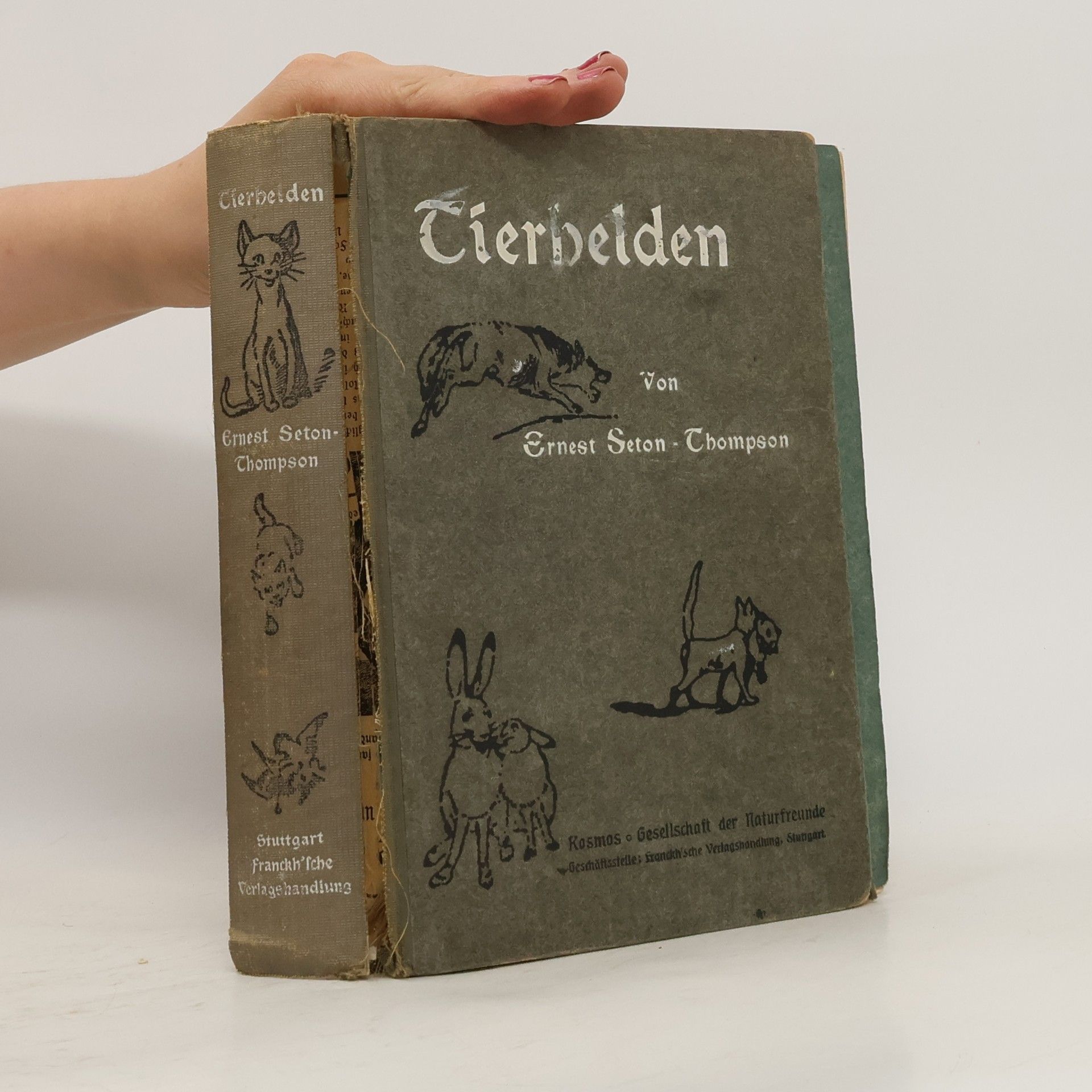 Ernest Thompson Seton Tierhelden