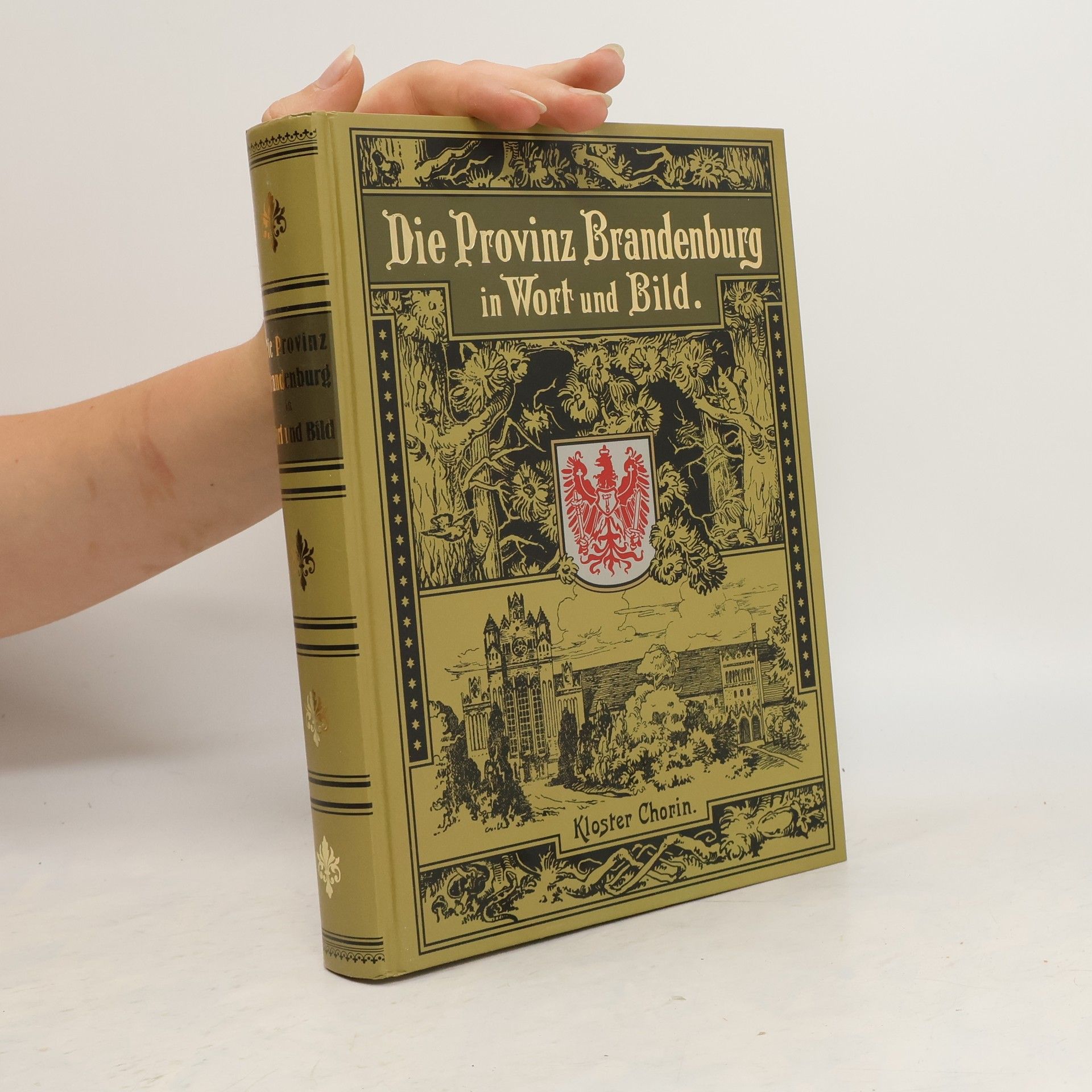 Pestalozzi-Verein der Provinz Brandenburg. Die Provinz Brandenburg in Wort und Bild