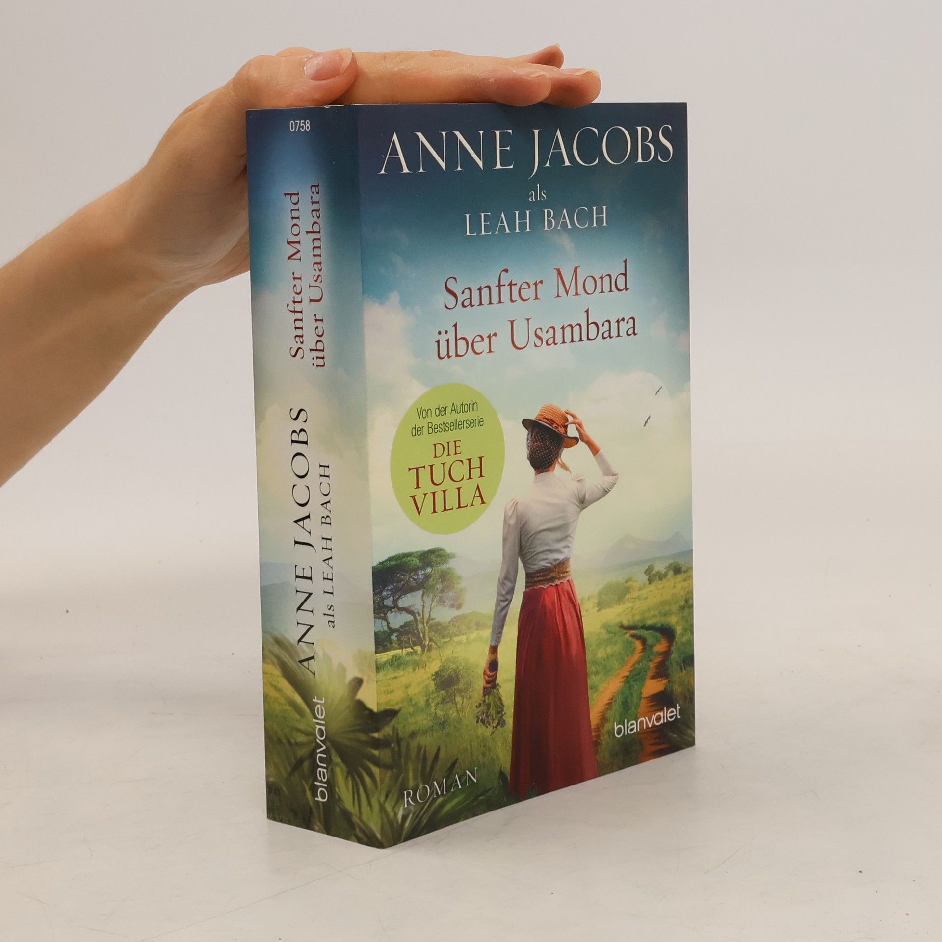 Anne Jacobs Sanfter Mond über Usambara
