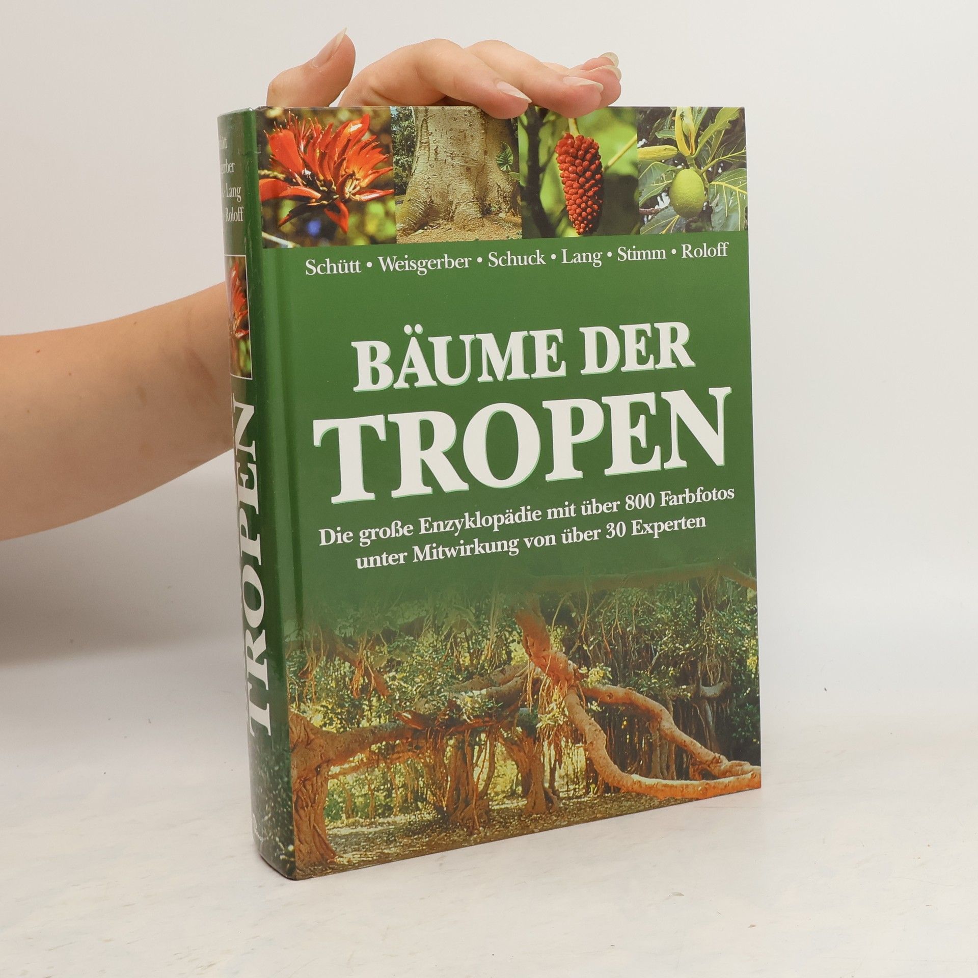 Peter Schütt Bäume der Tropen