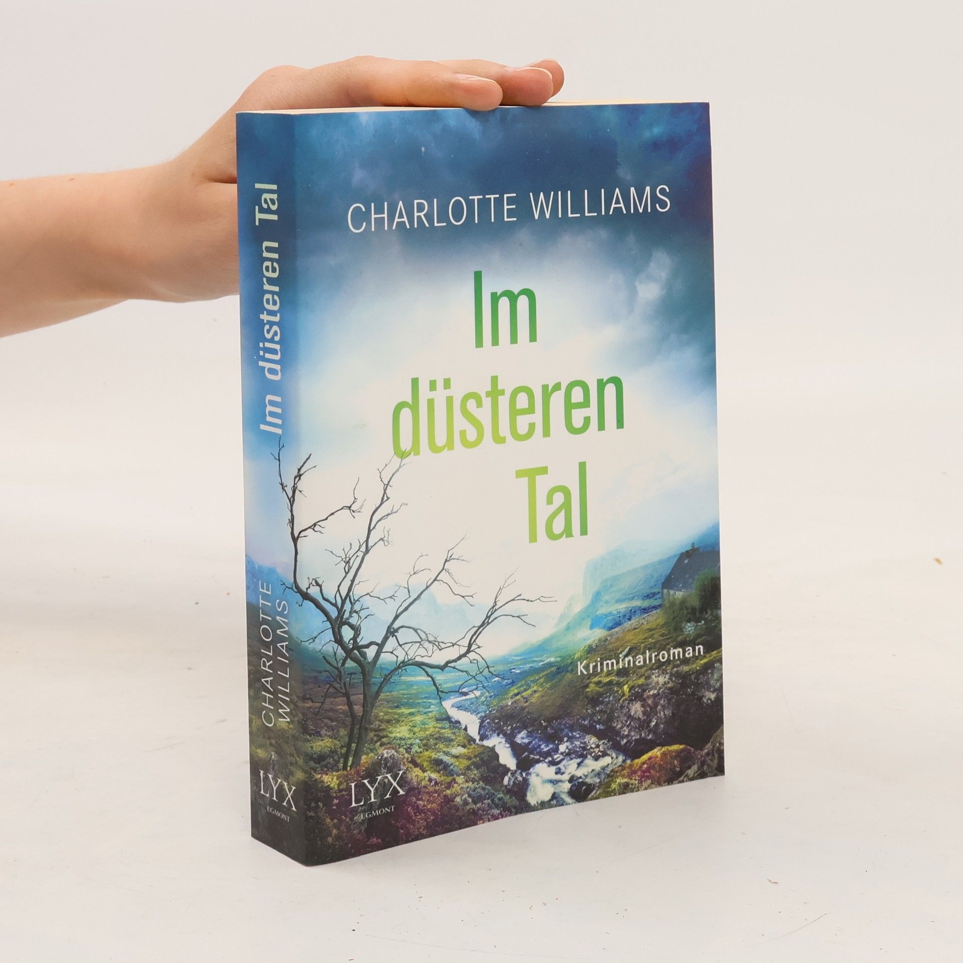 Charlotte Williams Im düsteren Tal