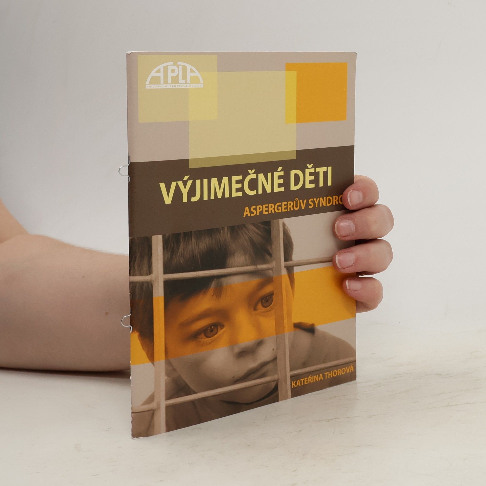 Kateřina Thorová Výjimečné děti. Aspergerův syndrom