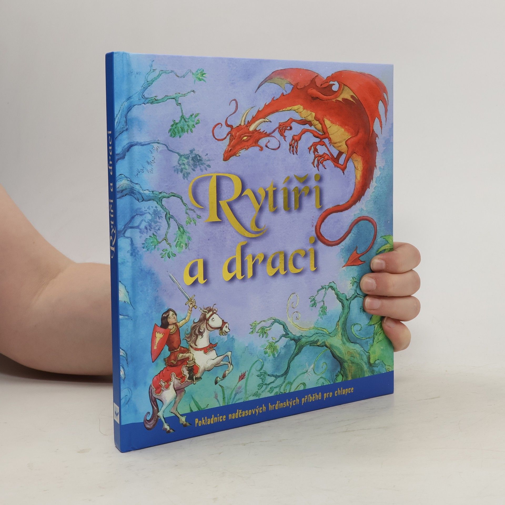 AA.VV. Rytíři a draci