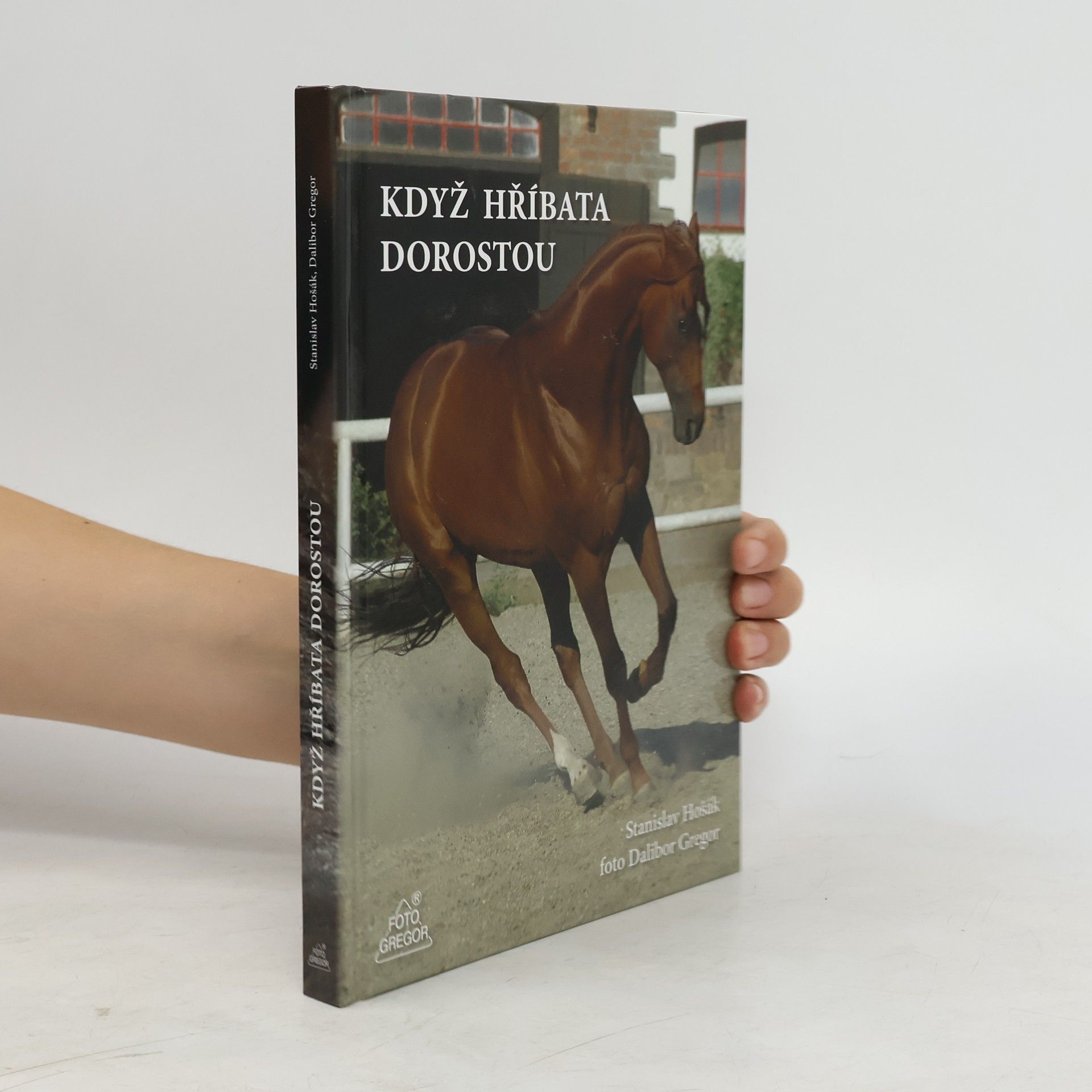 Stanislav Hošák Když hříbata dorostou
