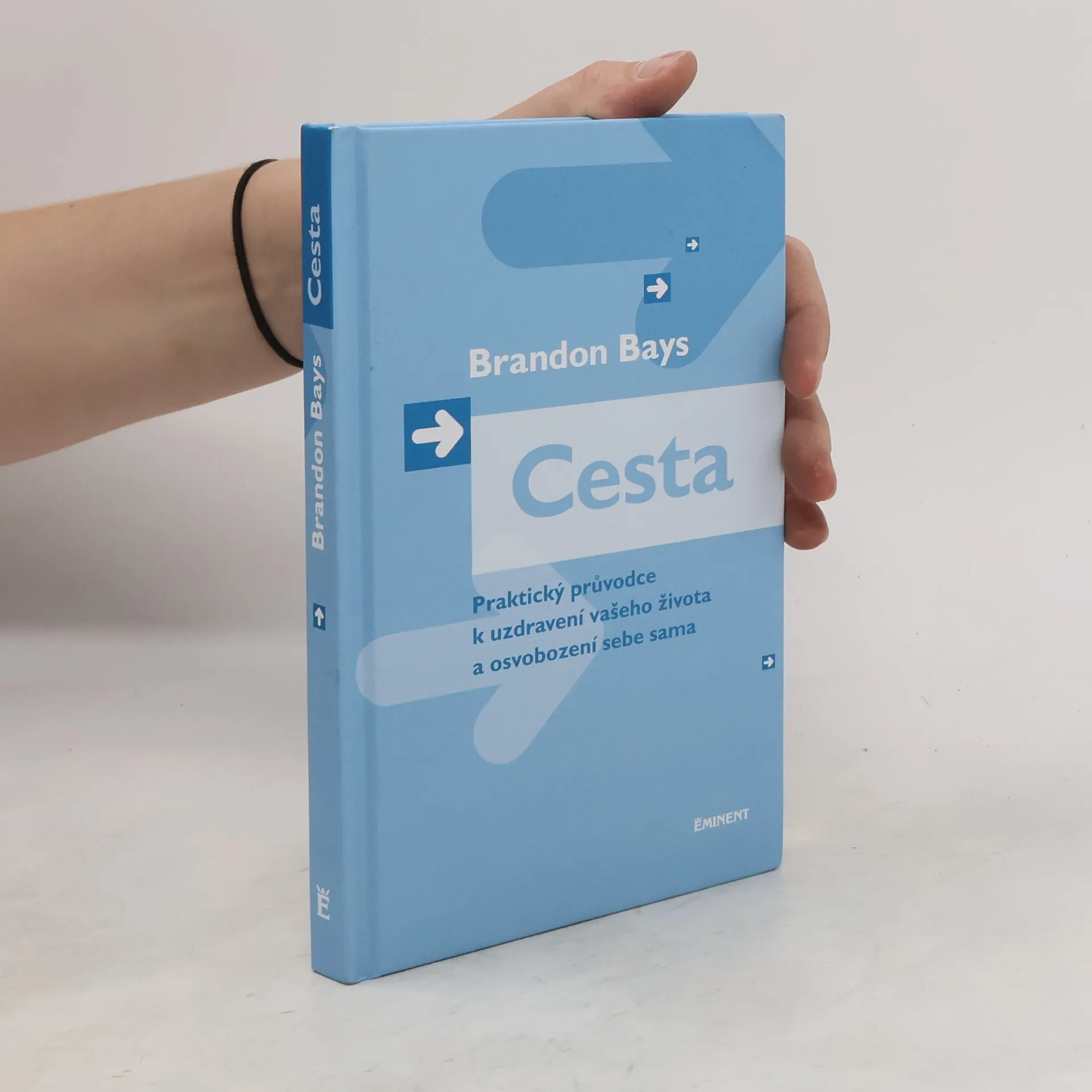 Cesta | Libro | Copertina rigida | Brandon Bays | CS