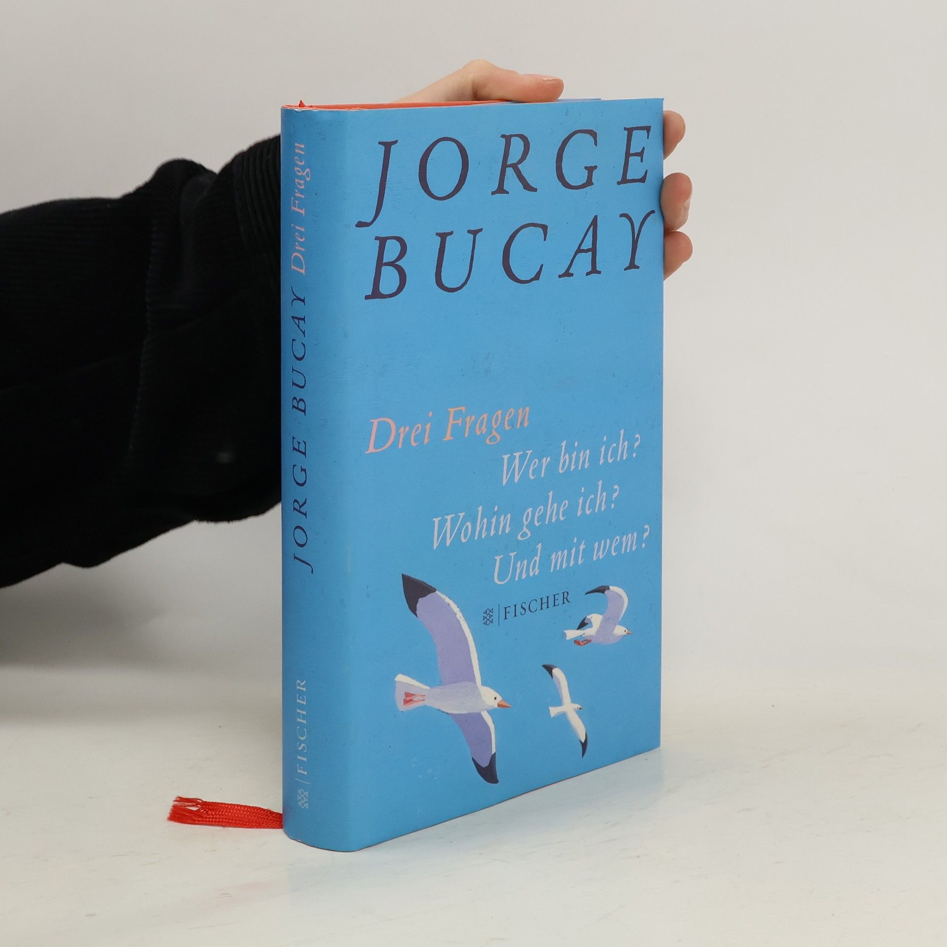 Jorge Bucay Drei Fragen