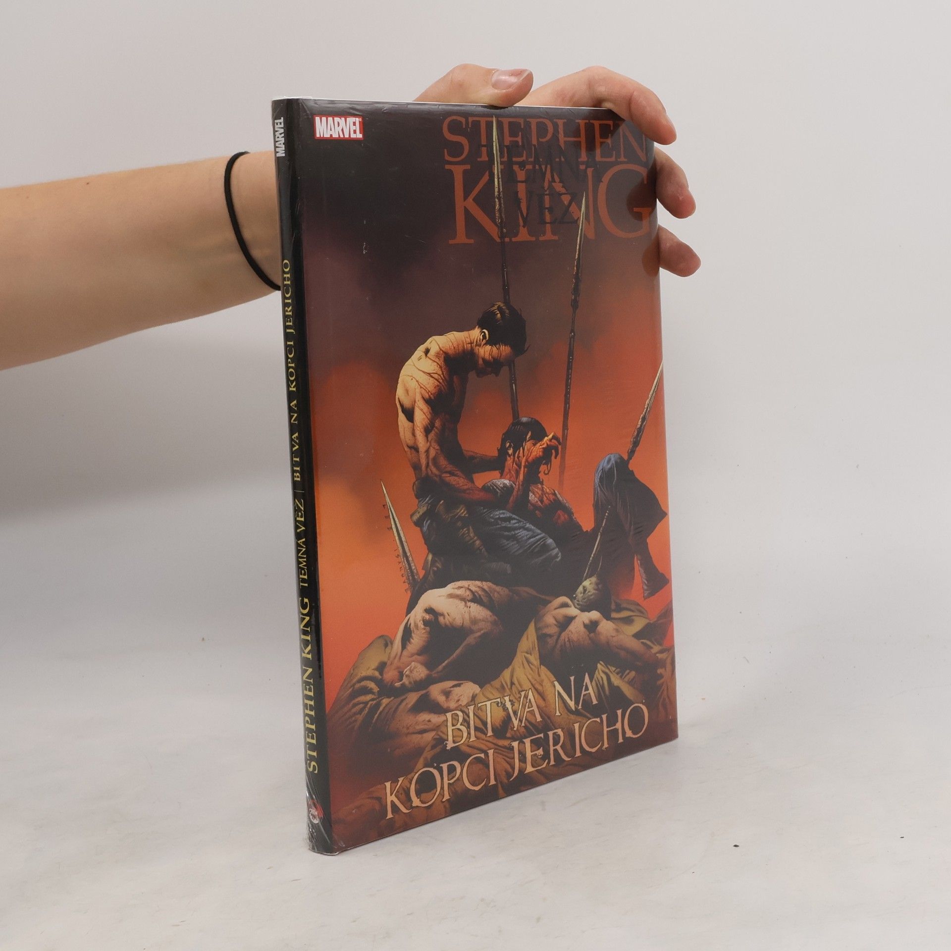Robin Furth Temná věž 5: Bitva na kopci Jericho