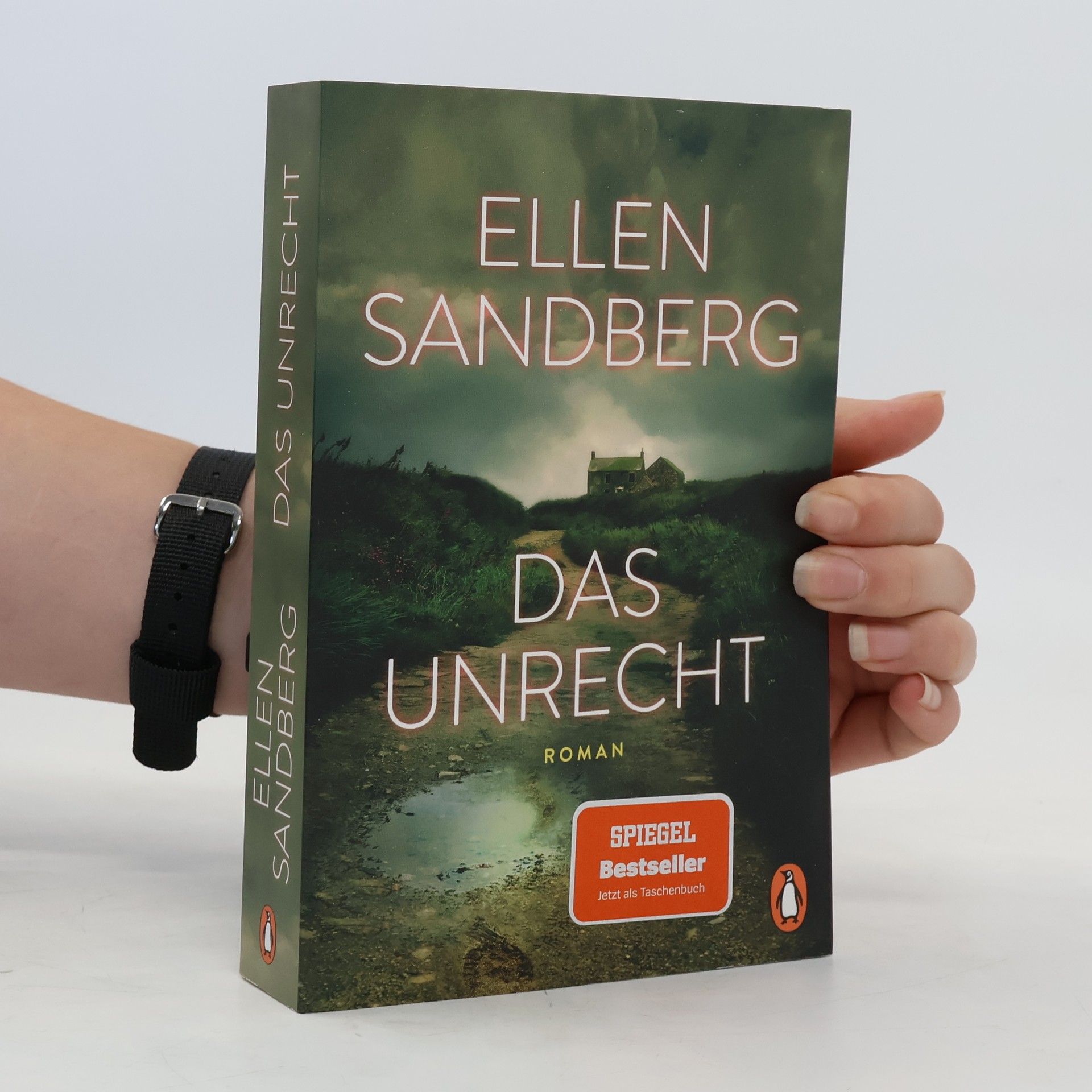 Ellen Sandberg Das Unrecht
