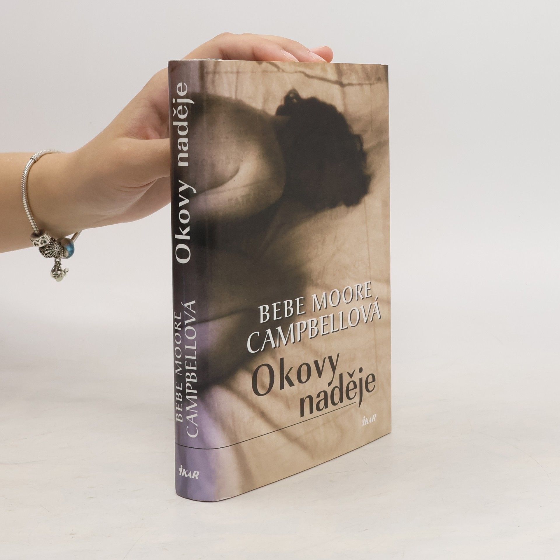 Bebe Moore Campbell Okovy naděje
