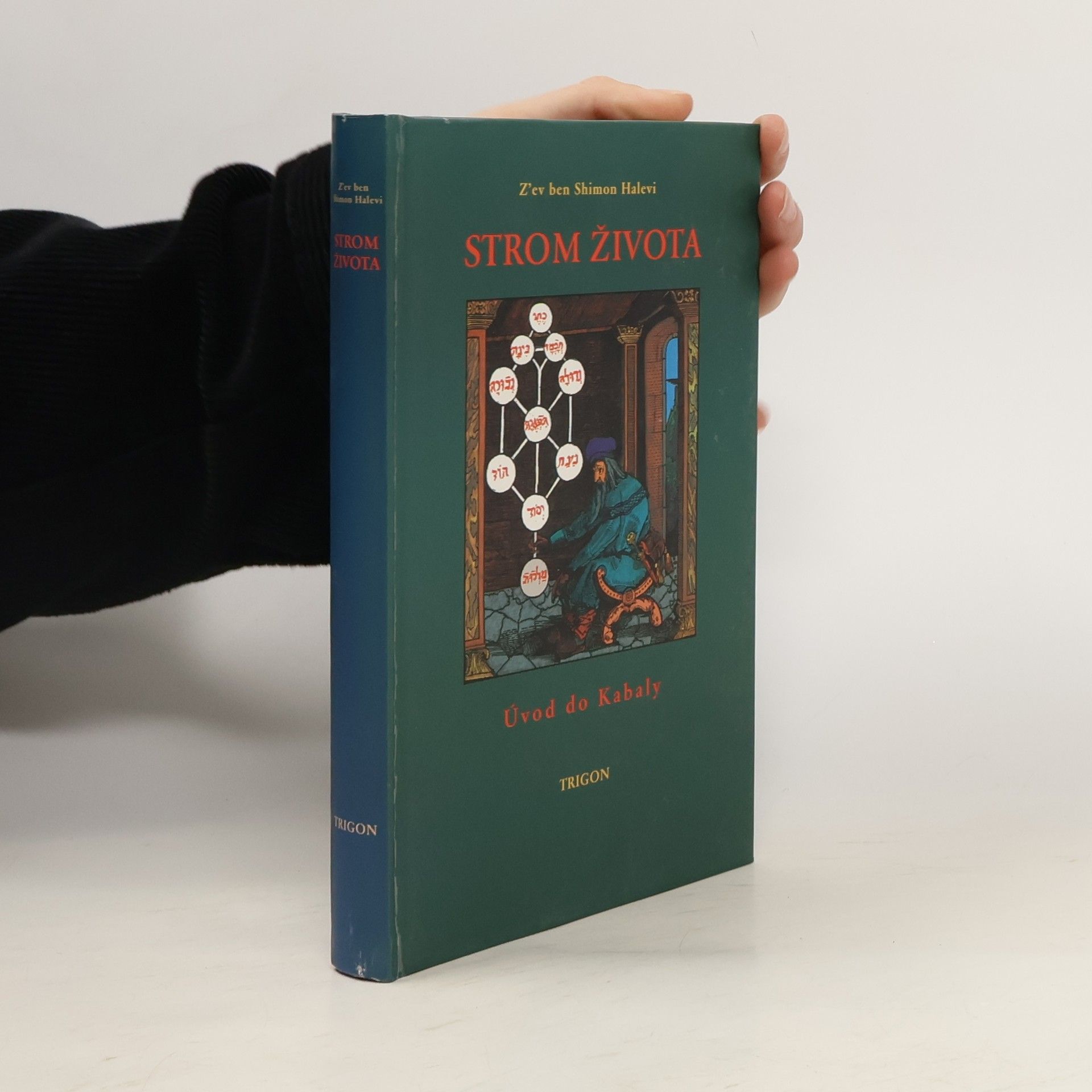 Peter Bugár Strom života : úvod do Kabaly