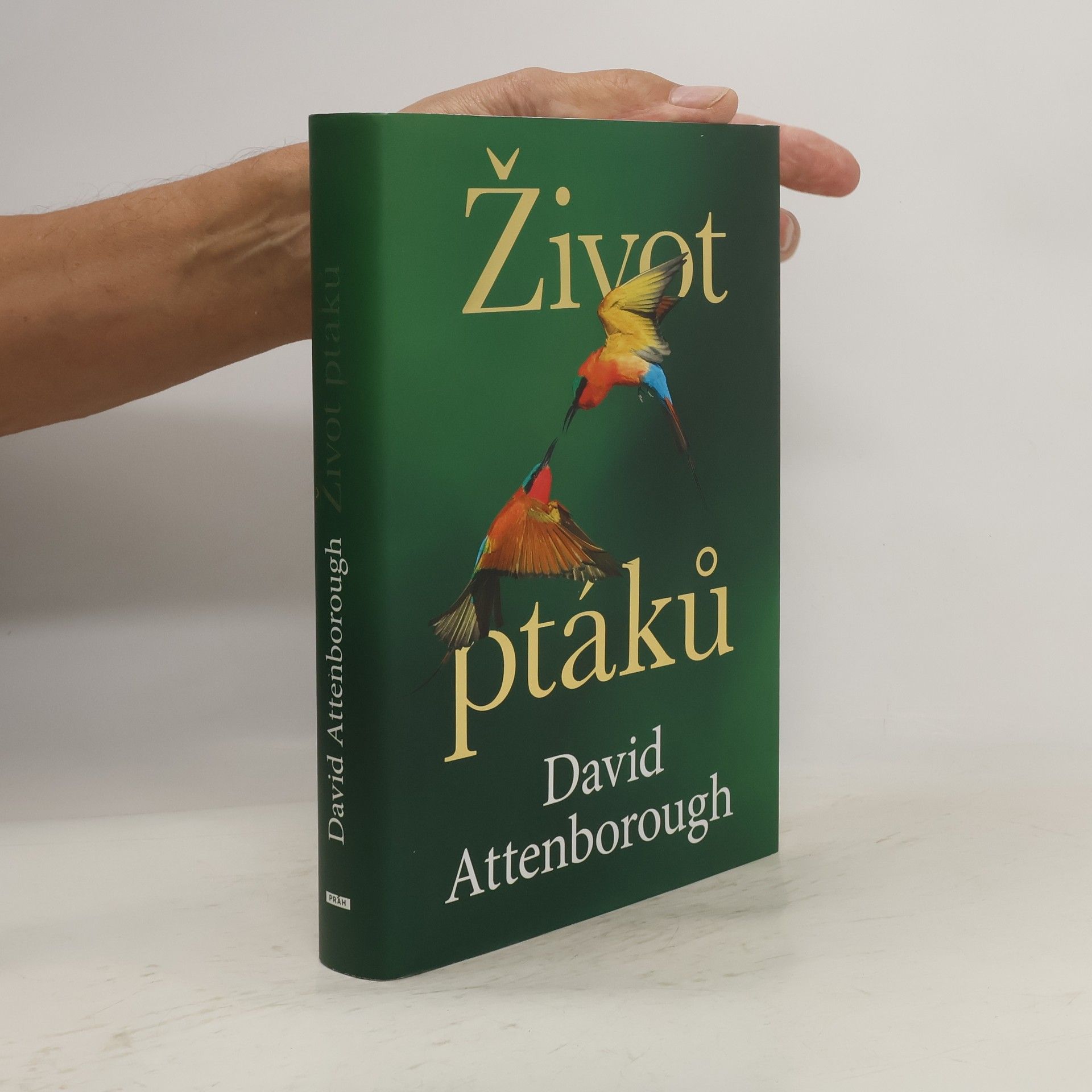 David Attenborough Život ptáků