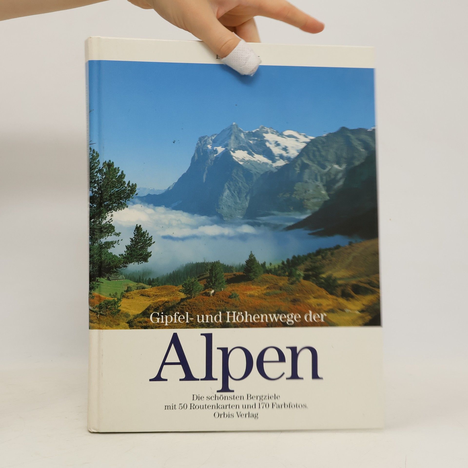 Dieter Maier Gipfel und Höhenwege der Alpen