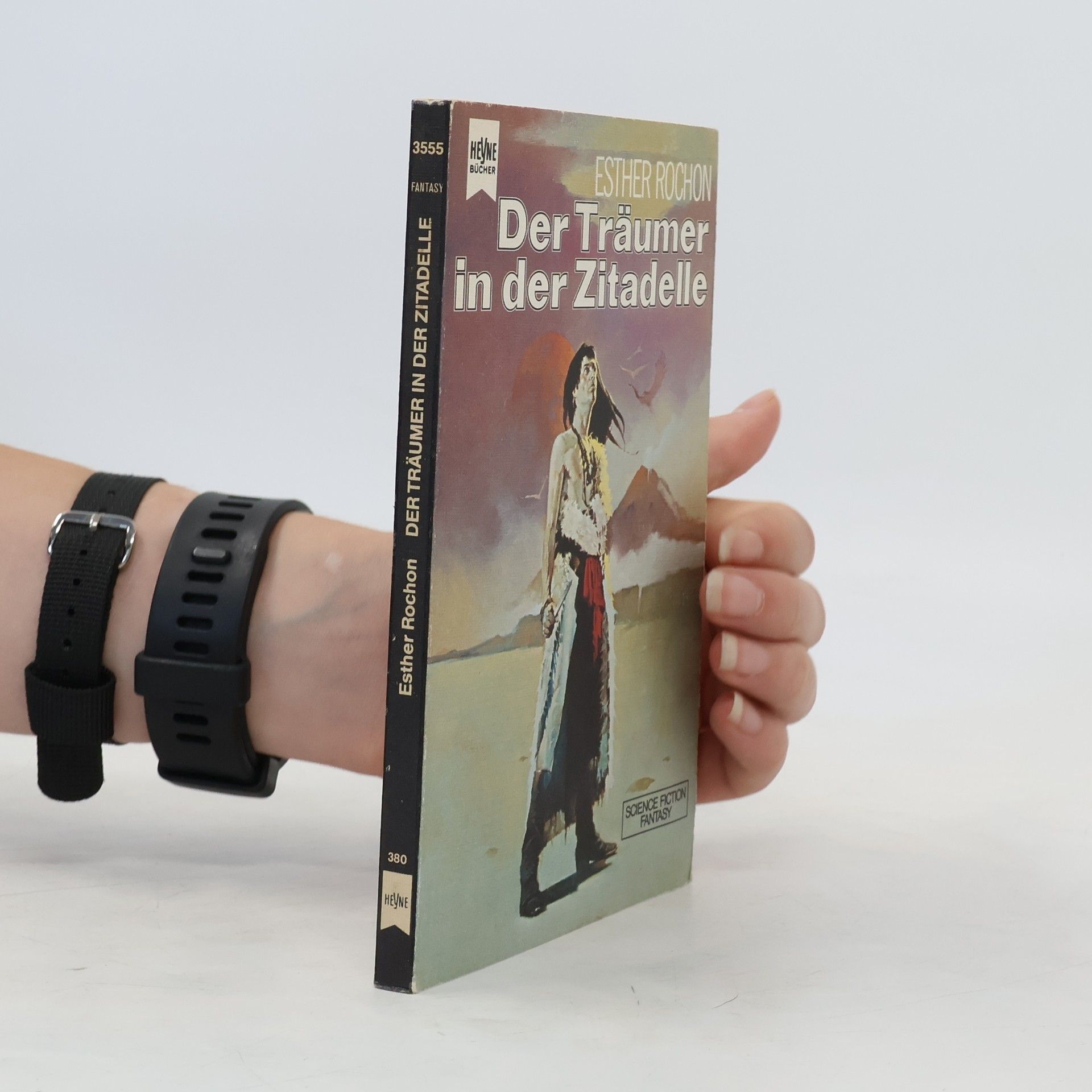 Esther Rochon Der Träumer in der Zitadelle.