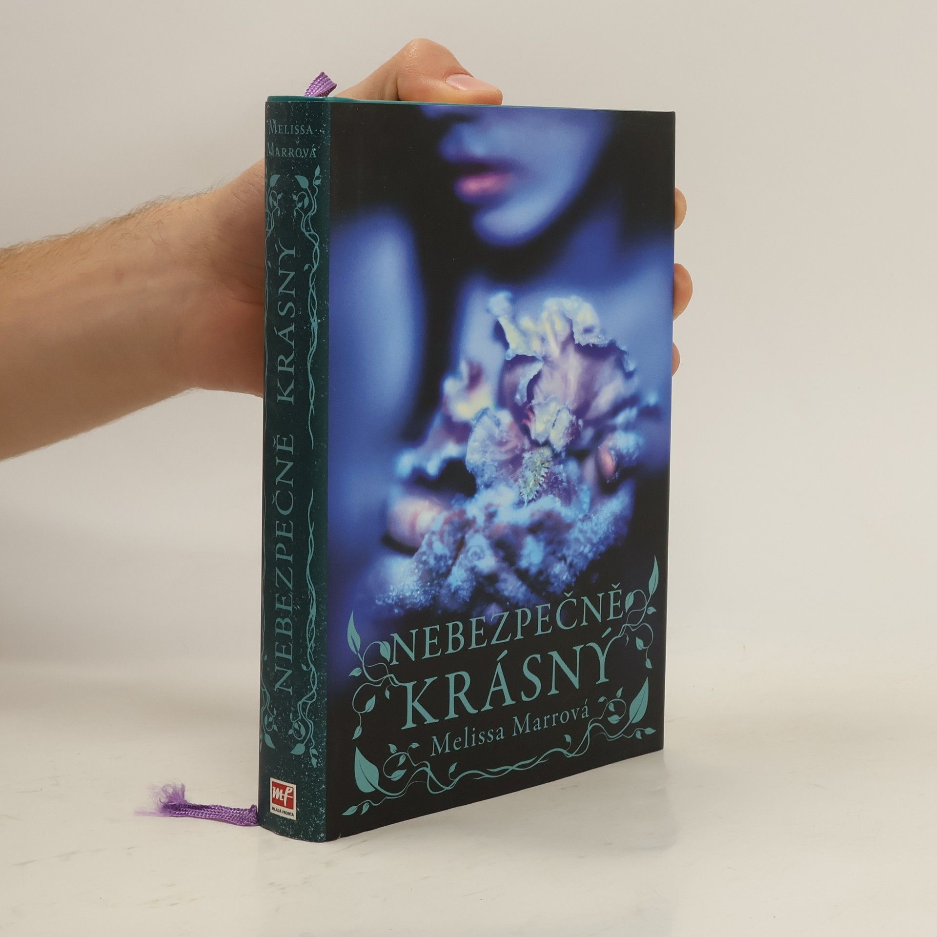 Melissa Marr Nebezpečně krásný