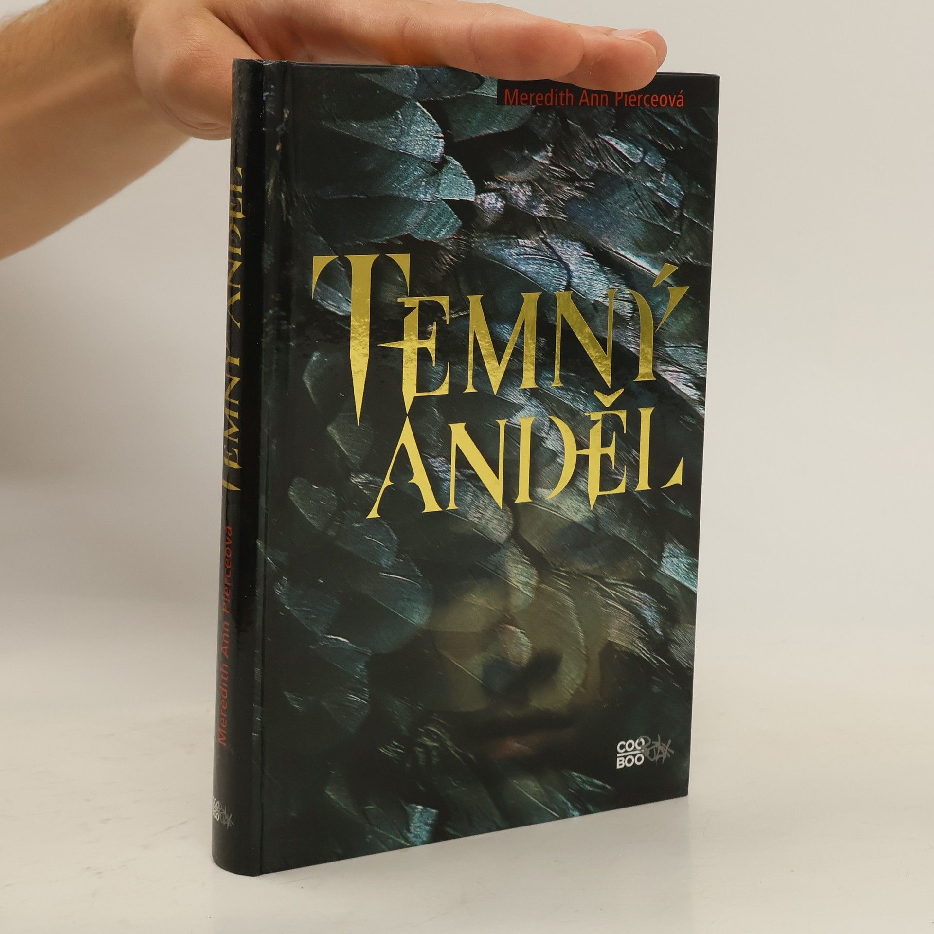 Meredith Ann Pierce Temný anděl