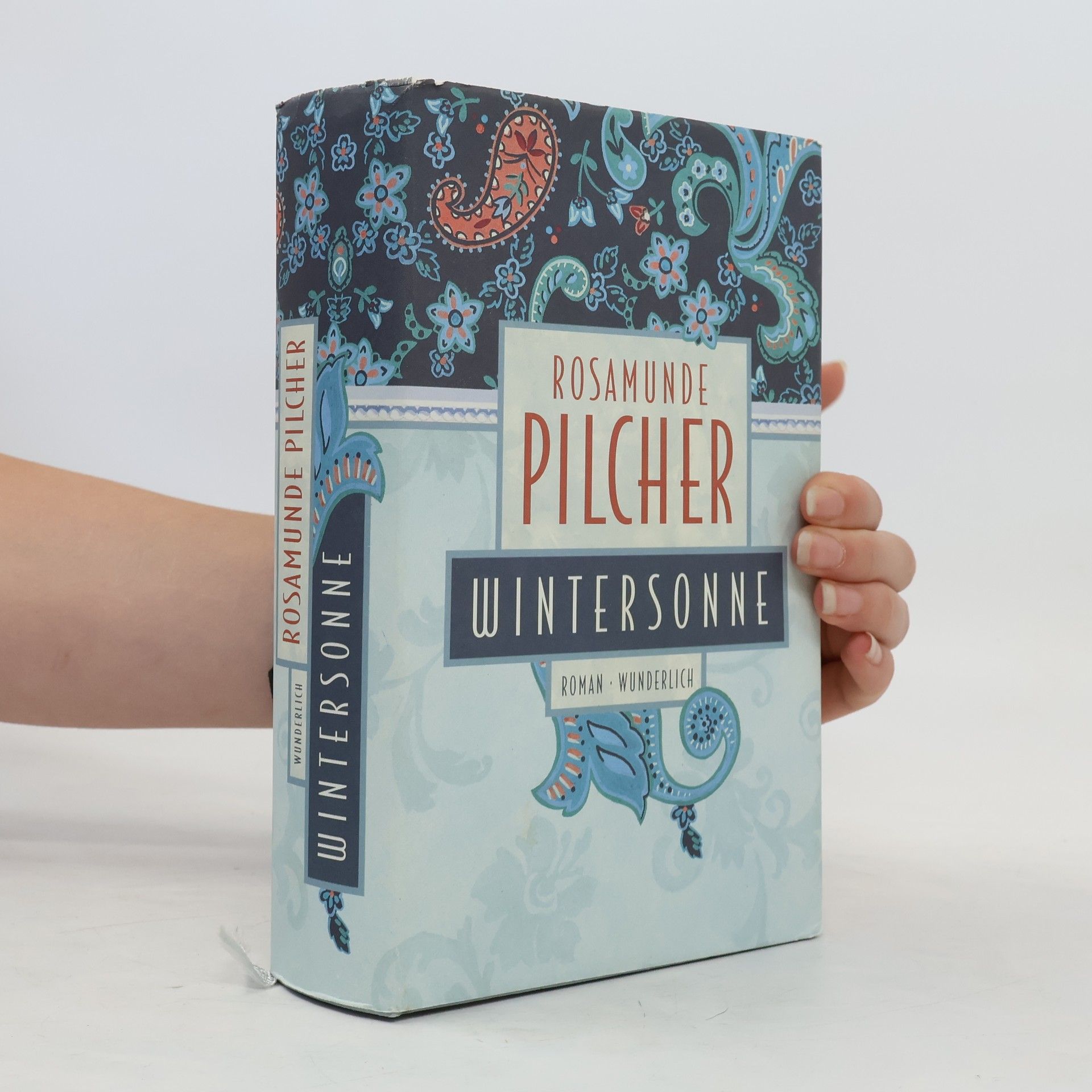 Rosamunde Pilcher Wintersonne