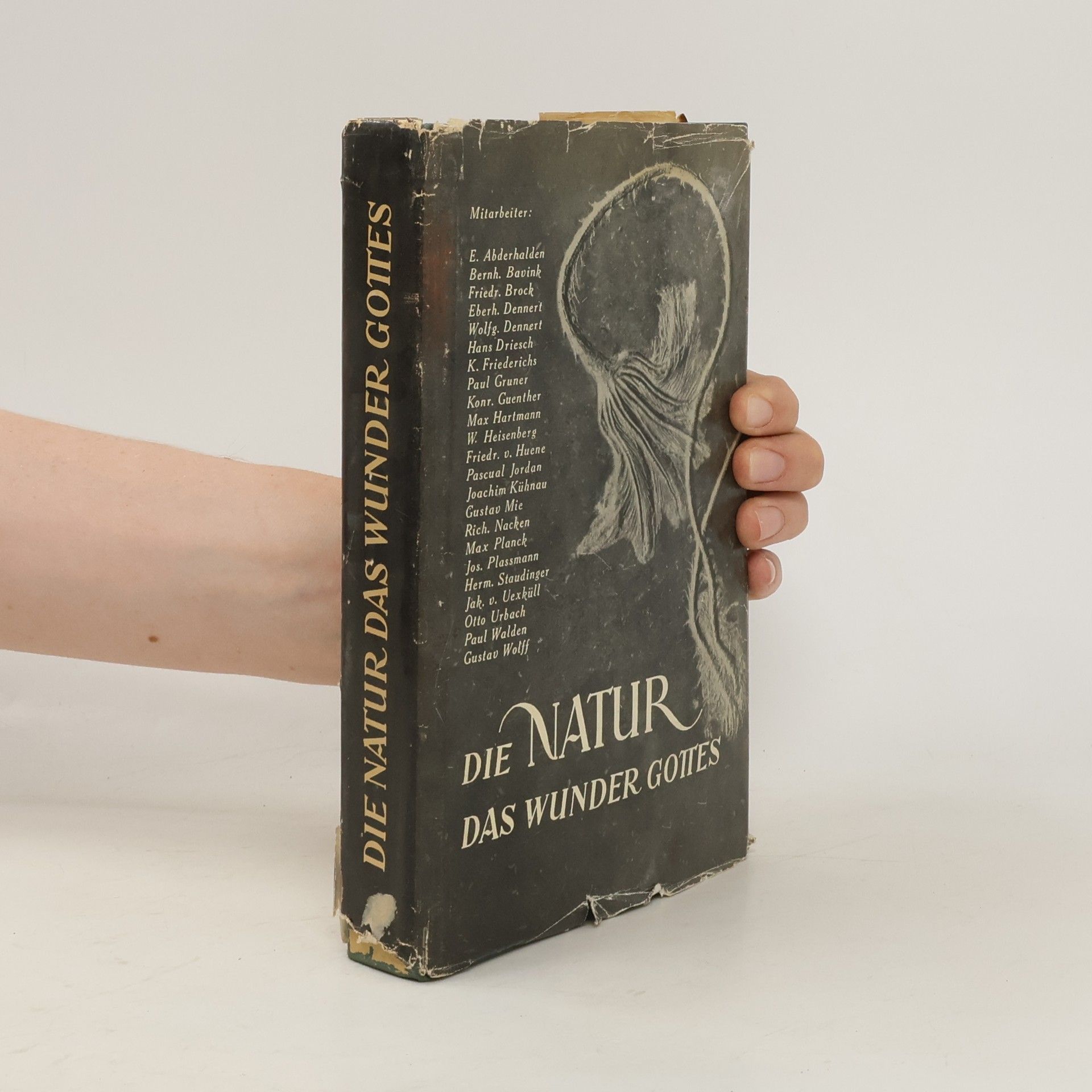 Autorenkollektiv Die Natur, das Wunder Gottes