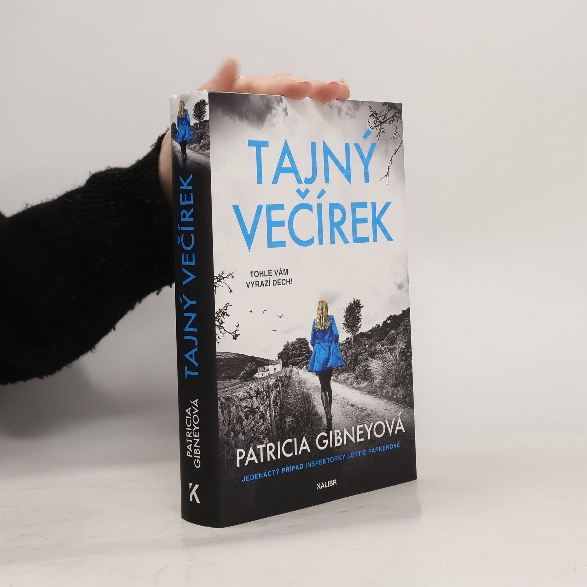 Patricia Gibney Tajný večírek