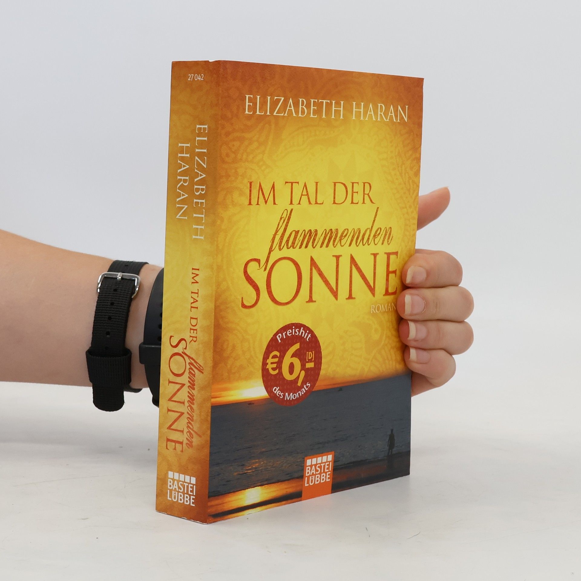 Elizabeth Haran Im Tal der flammenden Sonne