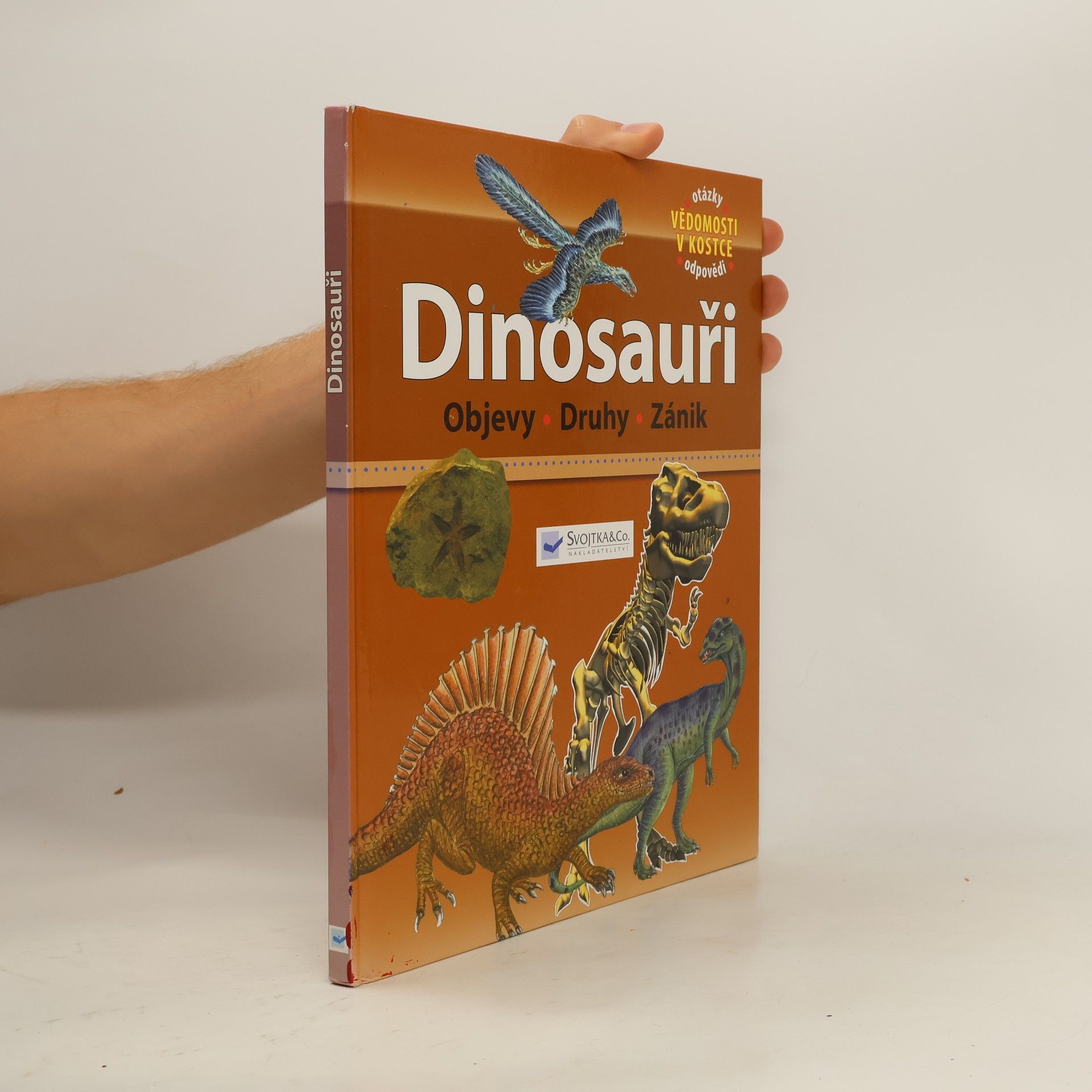 kolektiv Dinosauři