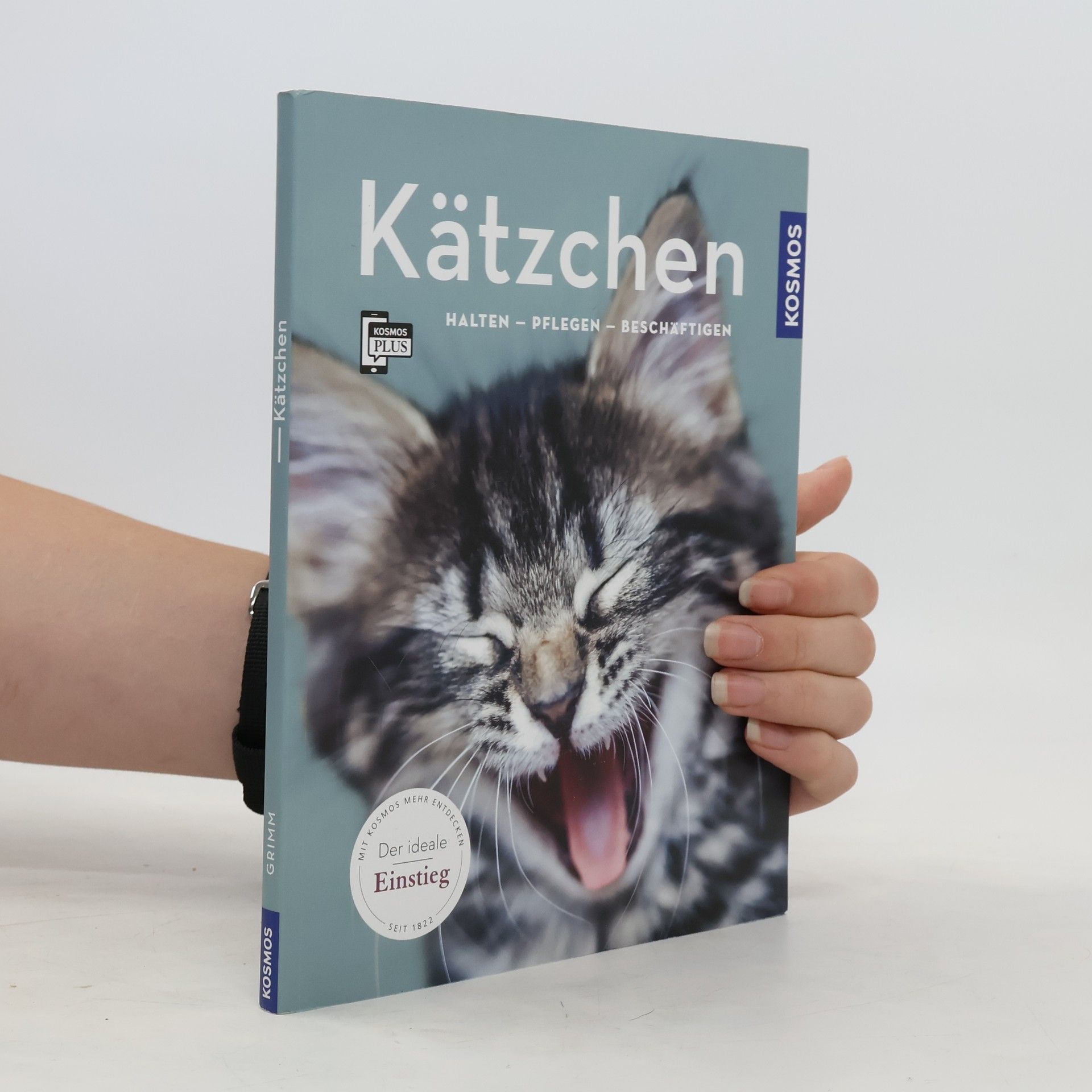Hannelore Grimm Kätzchen