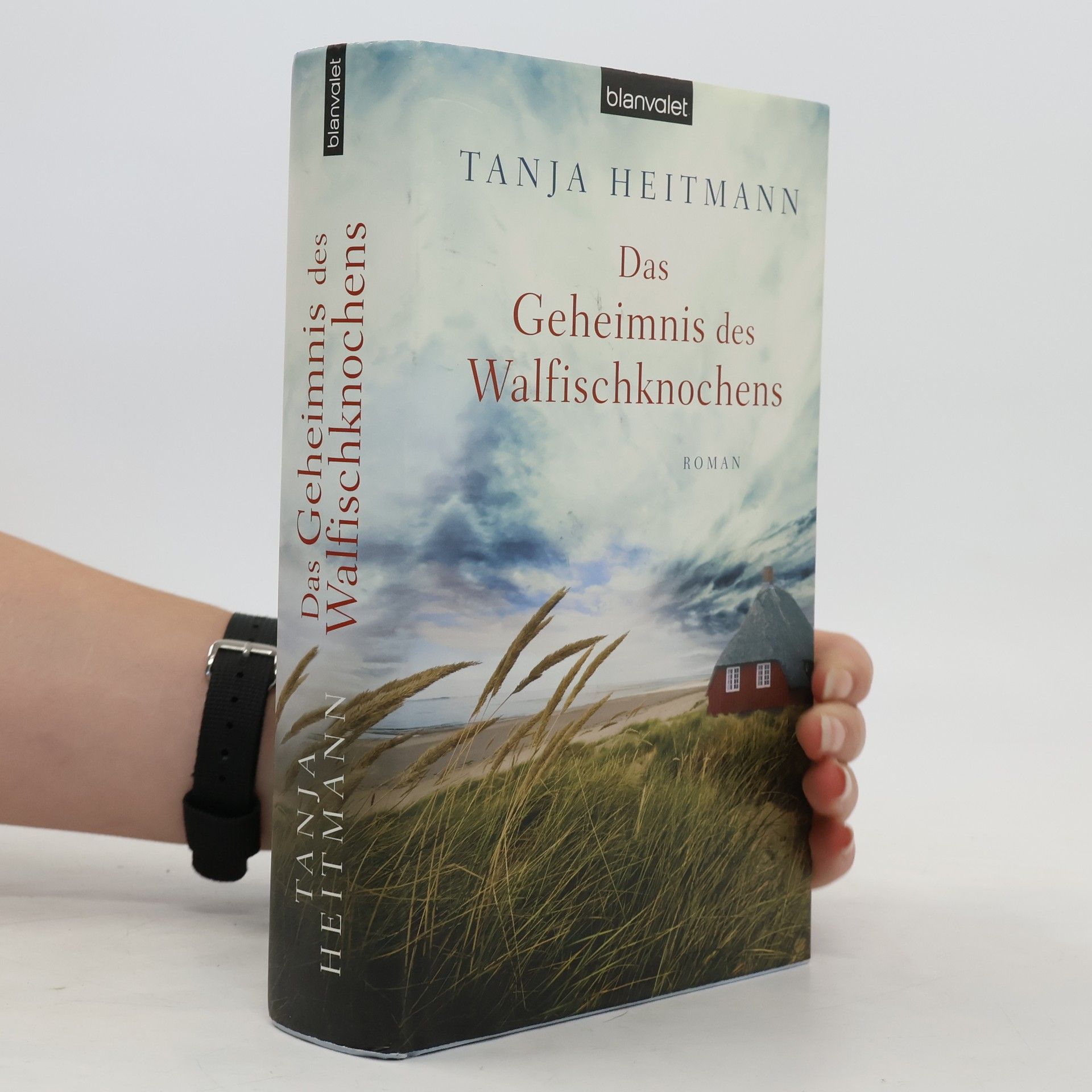 Tanja Heitmann Das Geheimnis des Walfischknochens