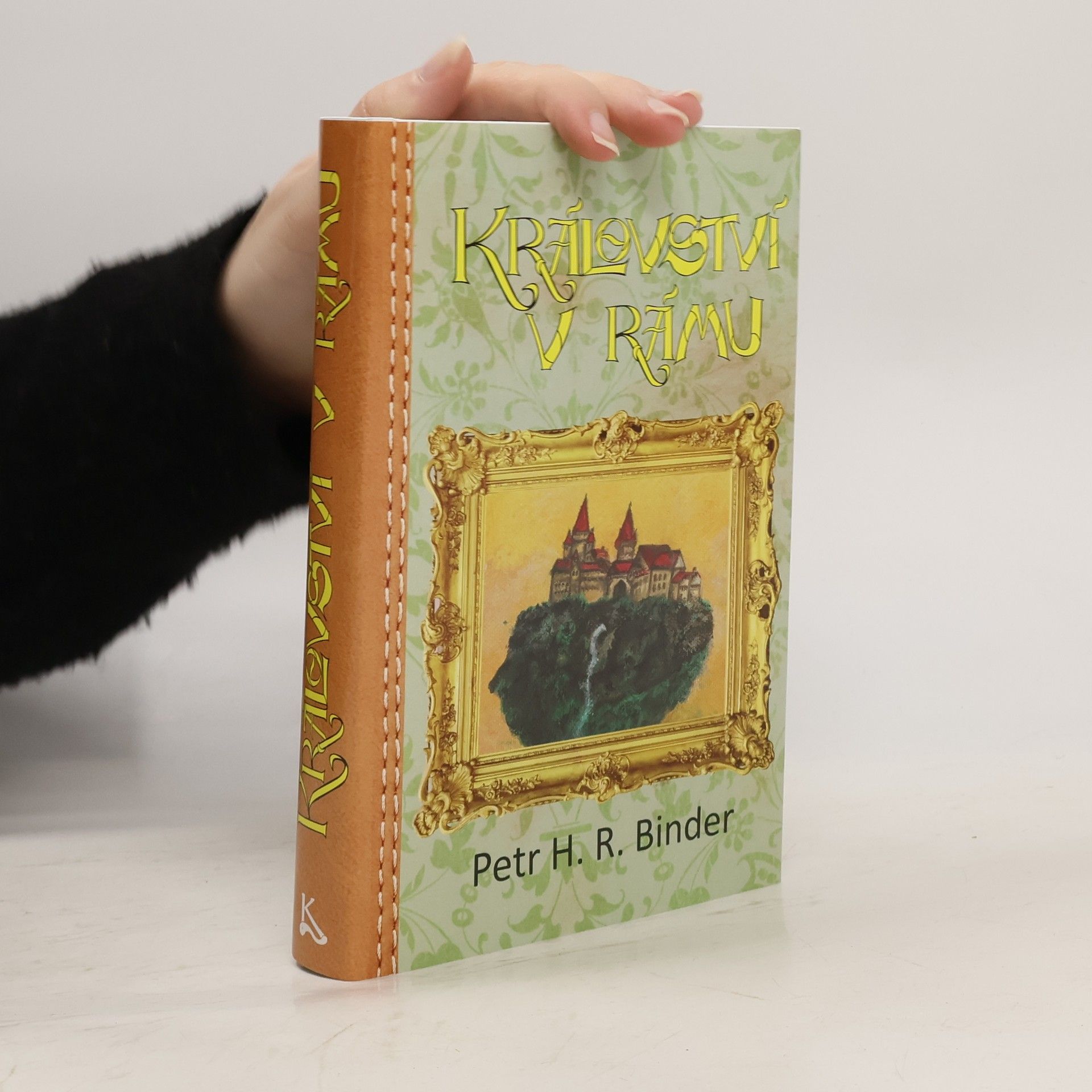 Petr Hroch Binder Království v rámu