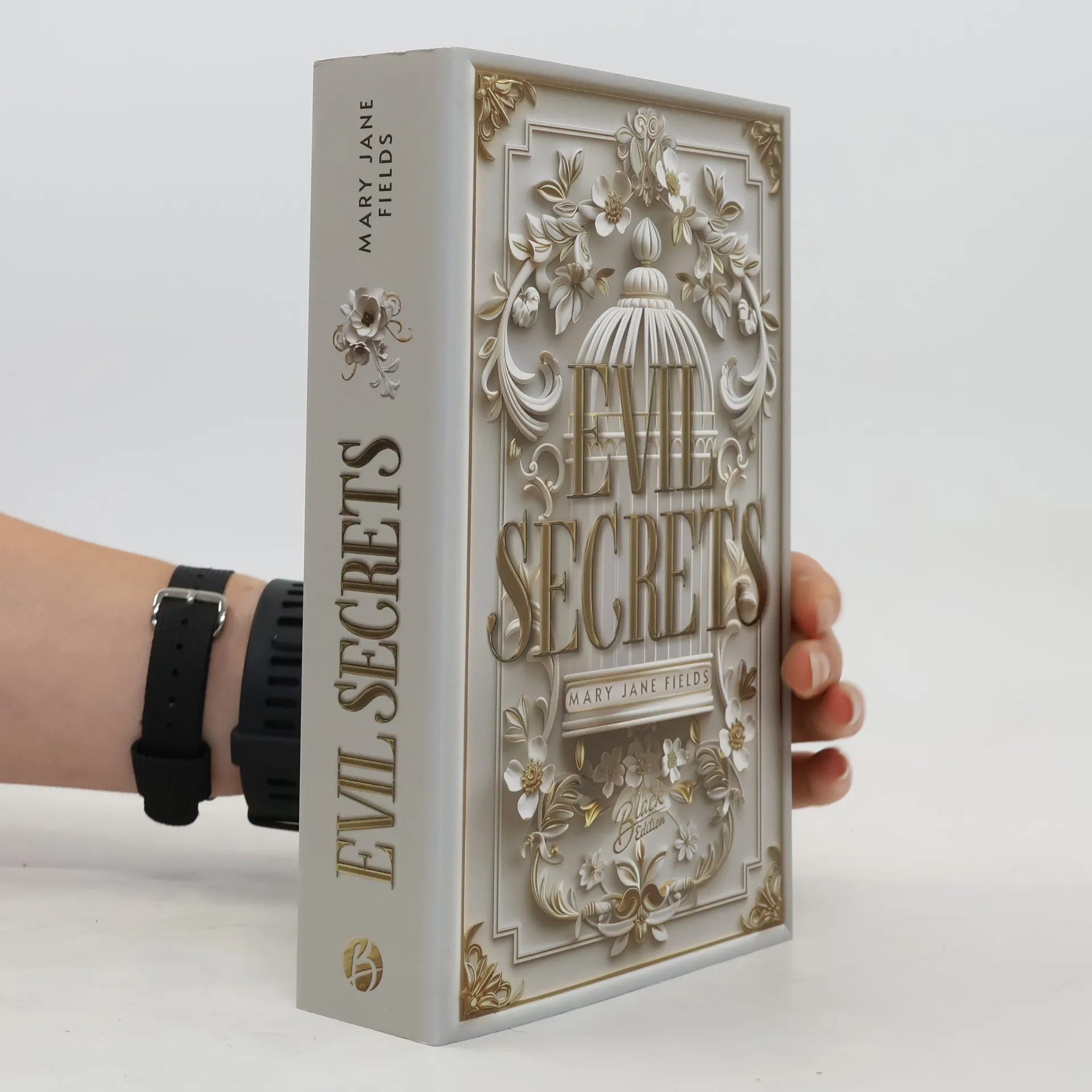 Evil Secrets | Book | Paperback | Mary Jane Fields | DE